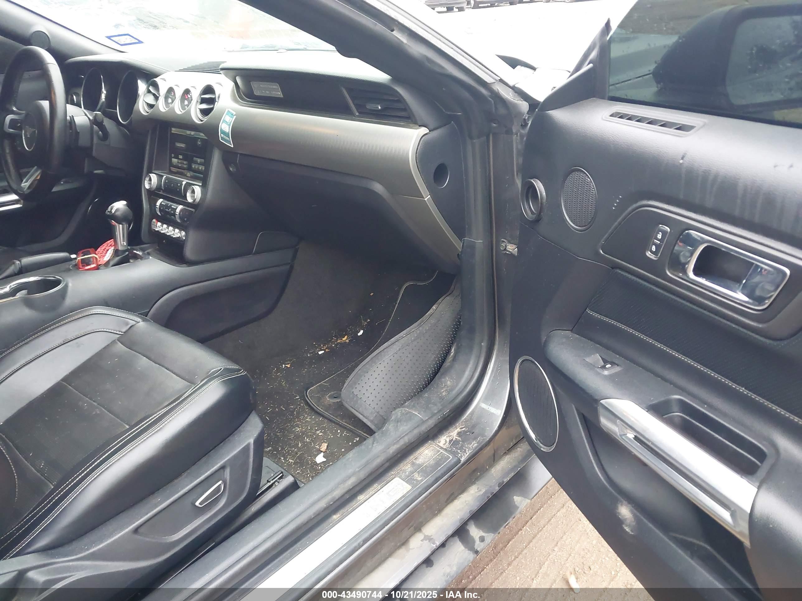 FORD MUSTANG image 5
