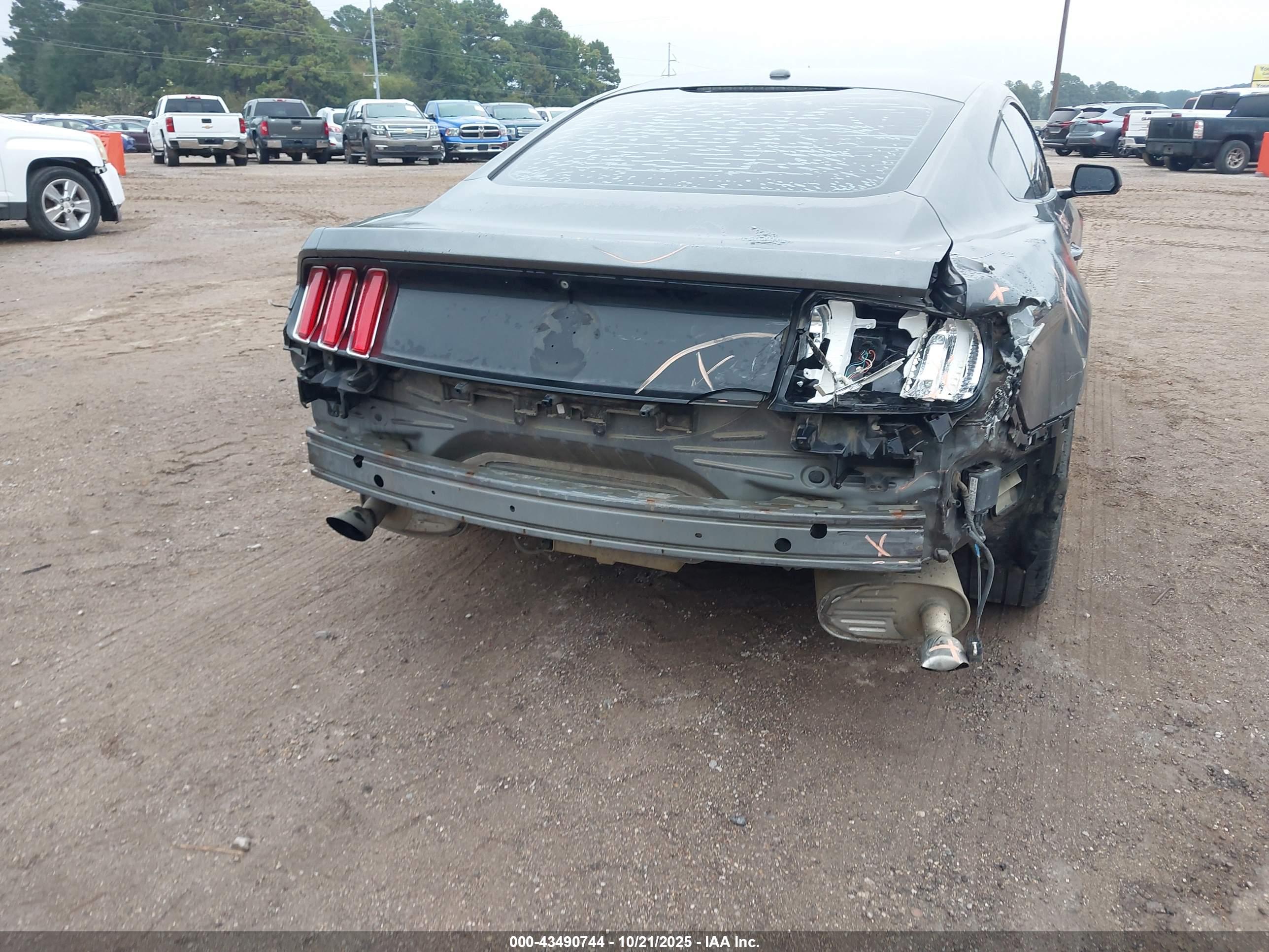 FORD MUSTANG image 6
