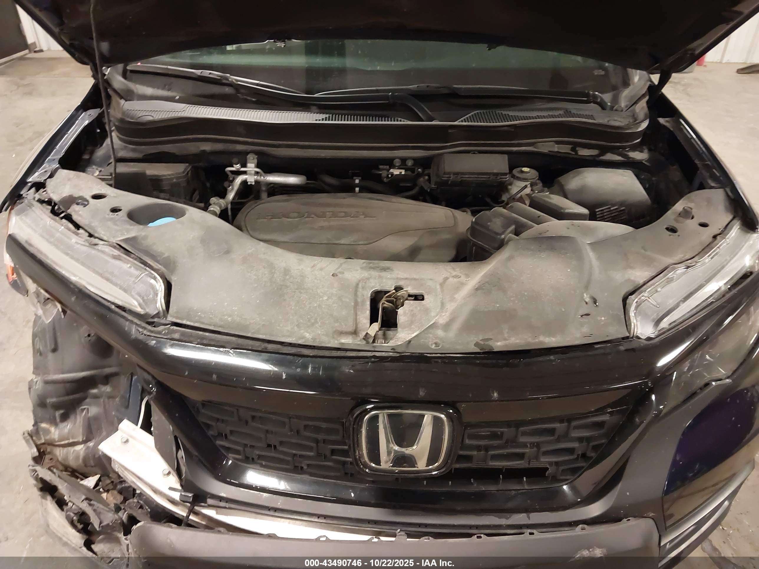 HONDA PASSPORT image 10
