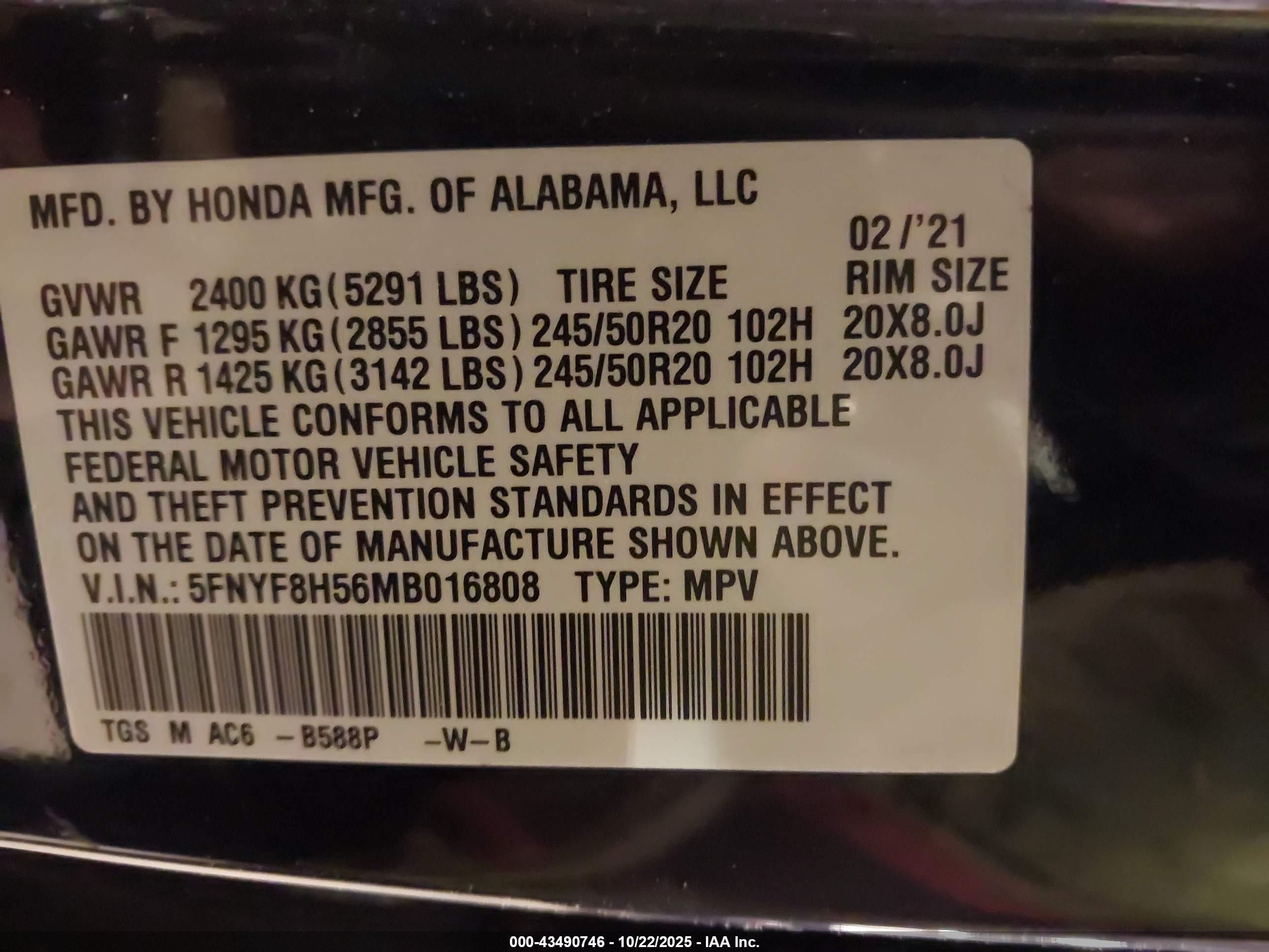 HONDA PASSPORT image 9