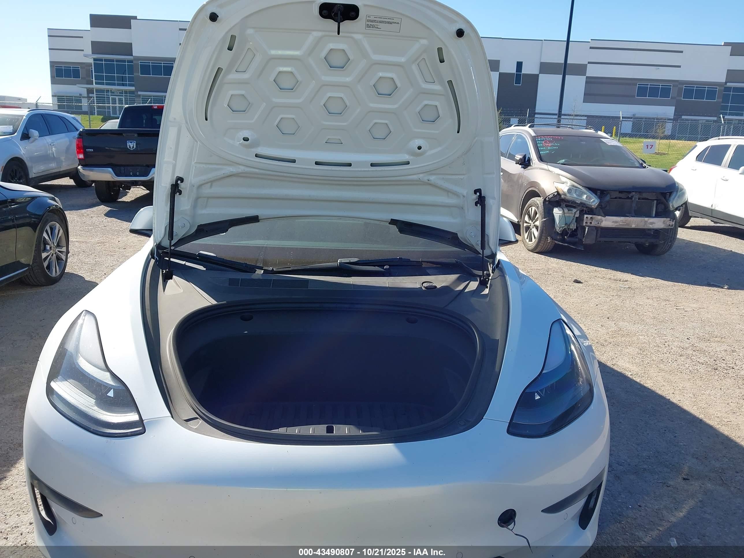 TESLA MODEL image 10