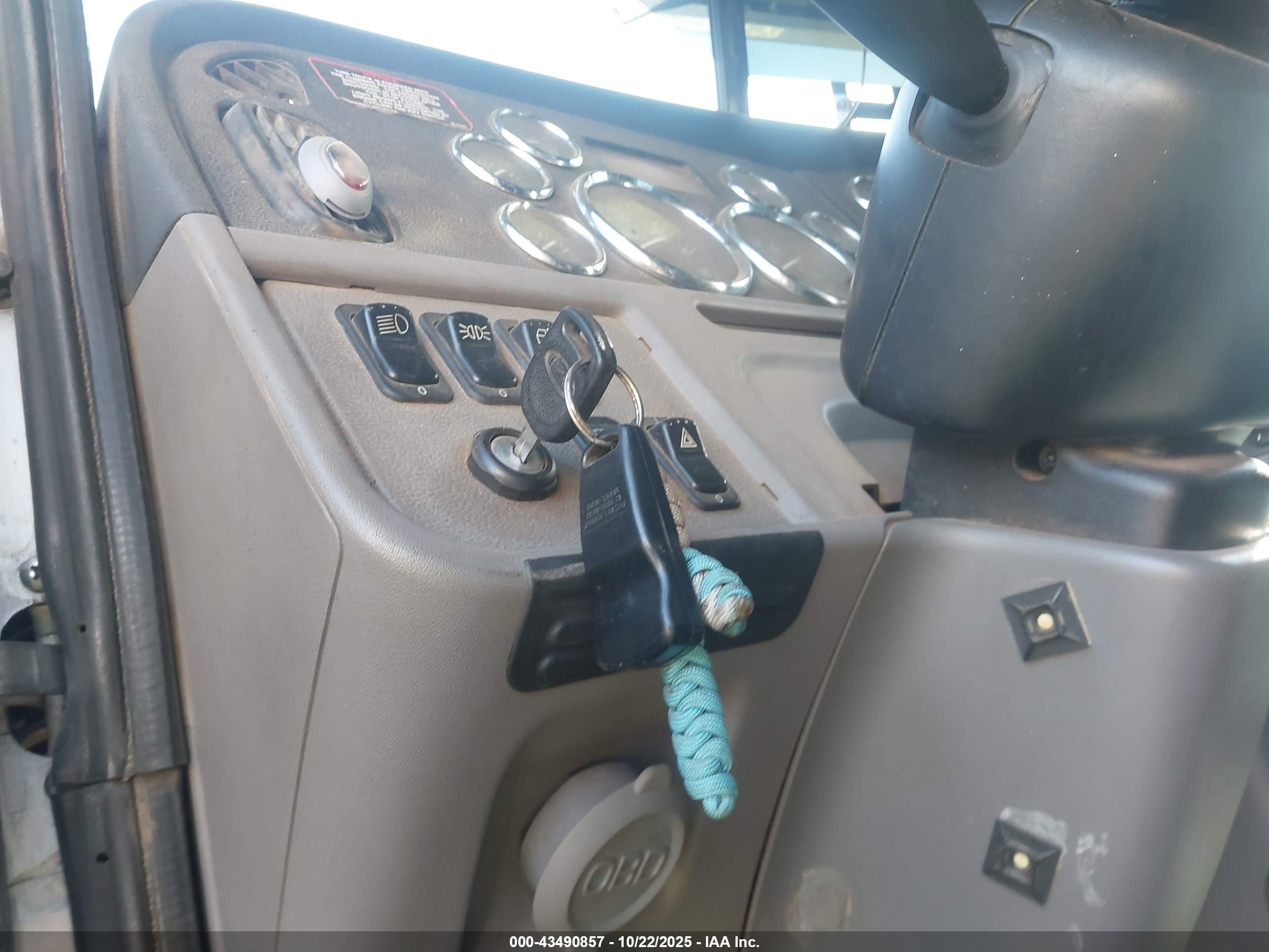 PETERBILT 389 image 11