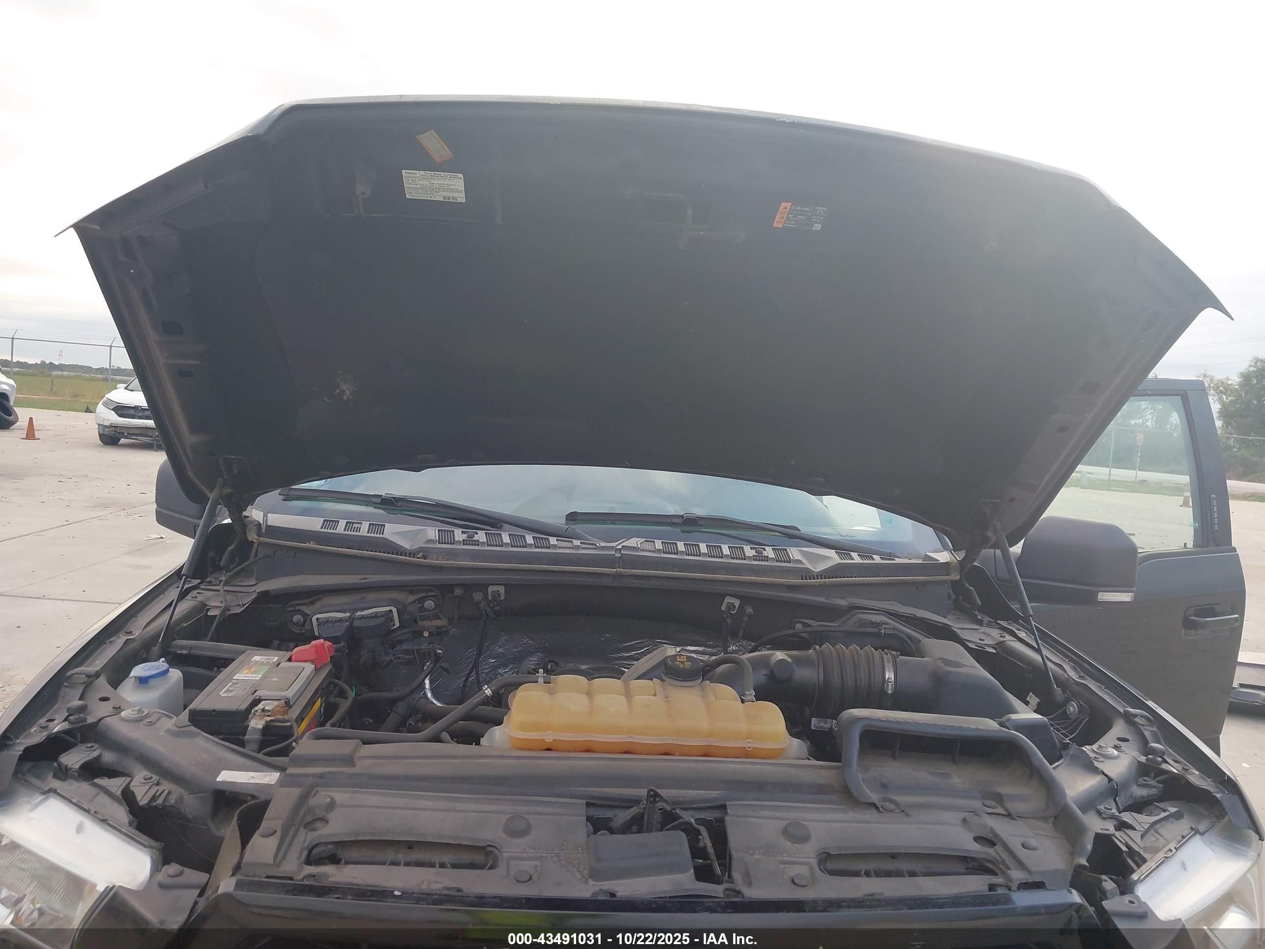 FORD F-150 image 10