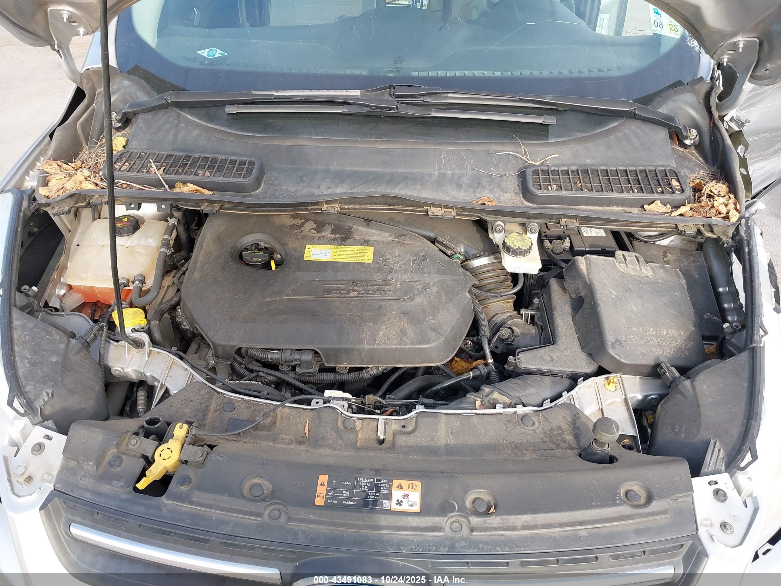FORD ESCAPE image 10
