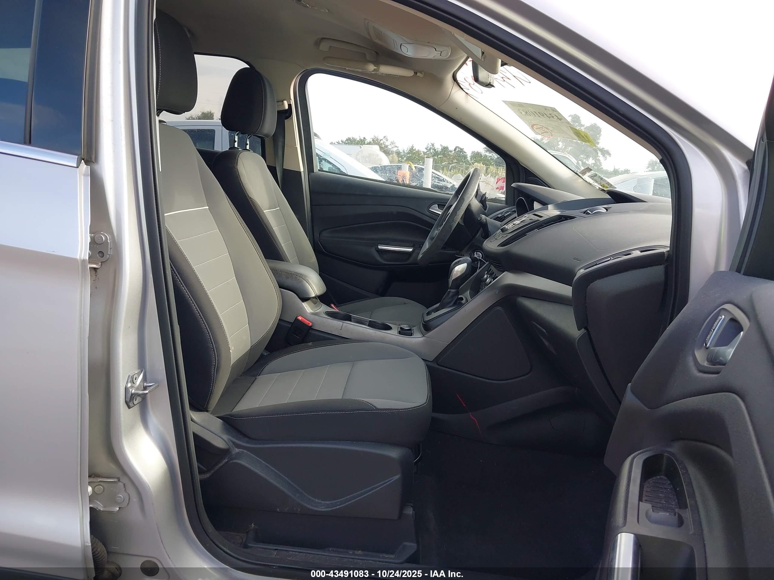 FORD ESCAPE image 5