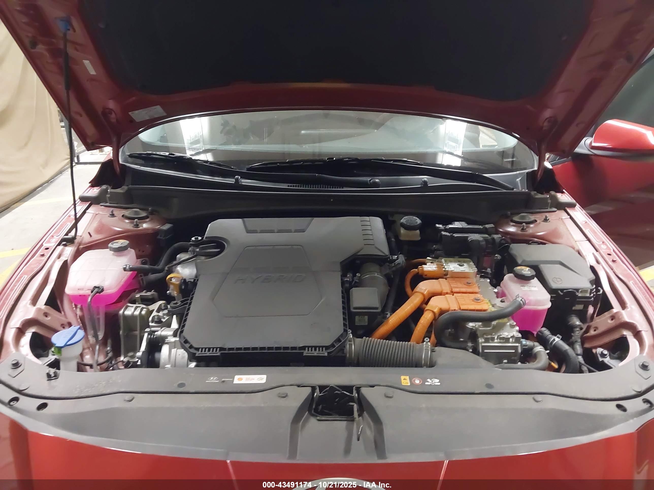 HYUNDAI ELANTRA image 10
