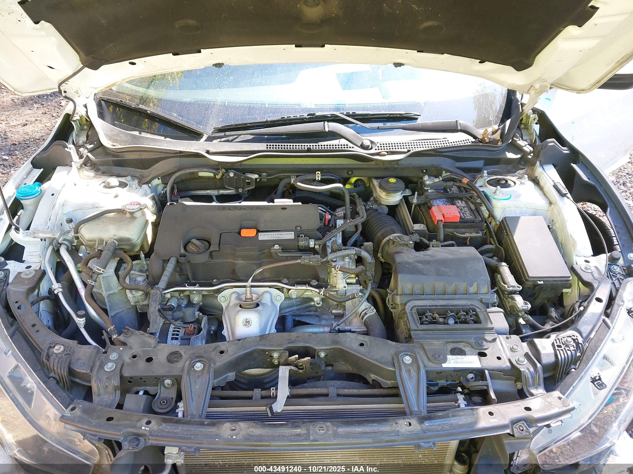 HONDA CIVIC image 10
