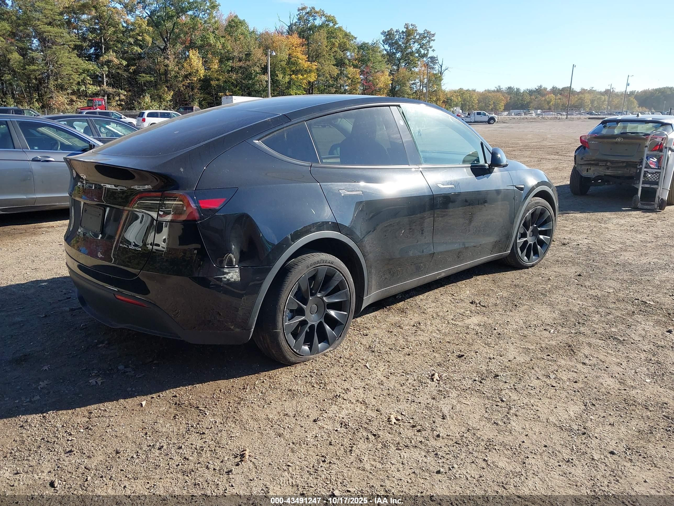 TESLA MODEL image 4