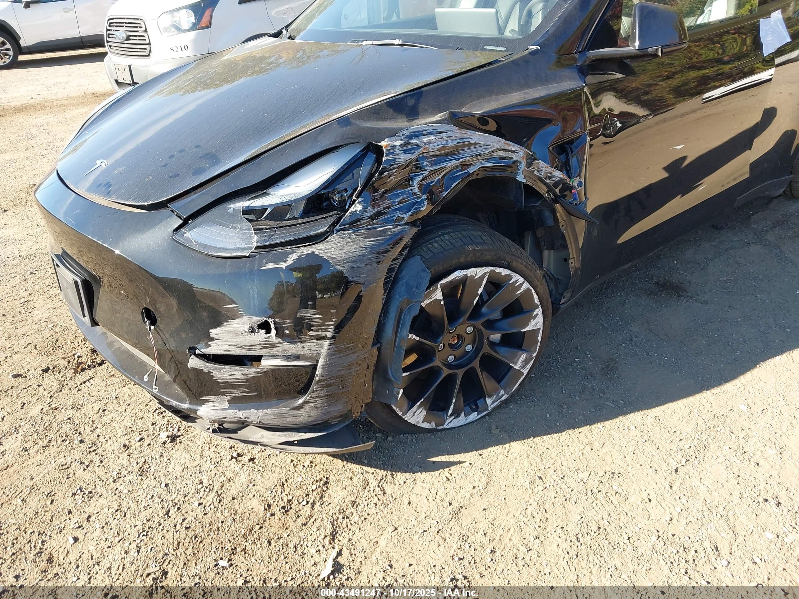 TESLA MODEL image 6