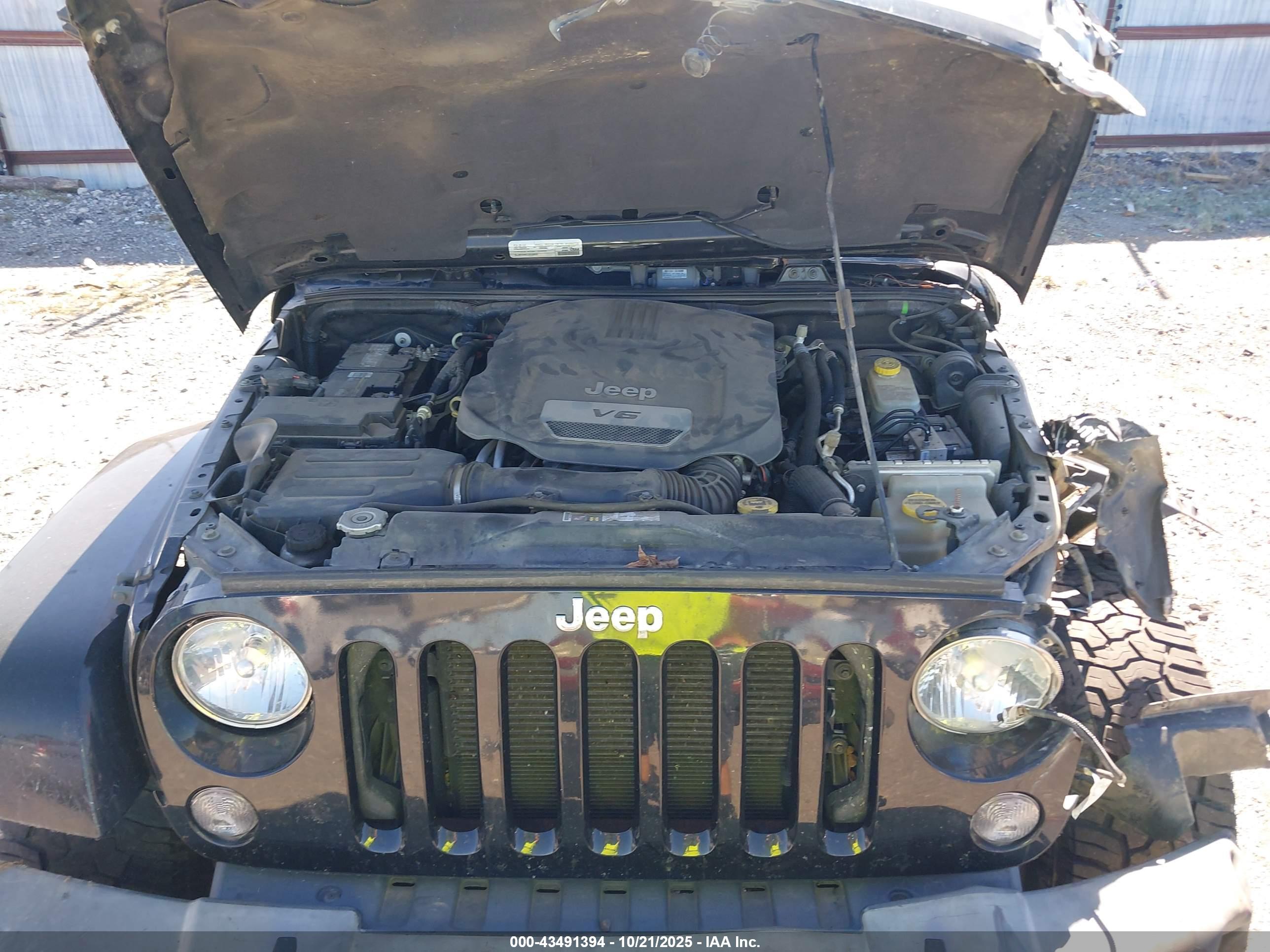 JEEP WRANGLER image 10