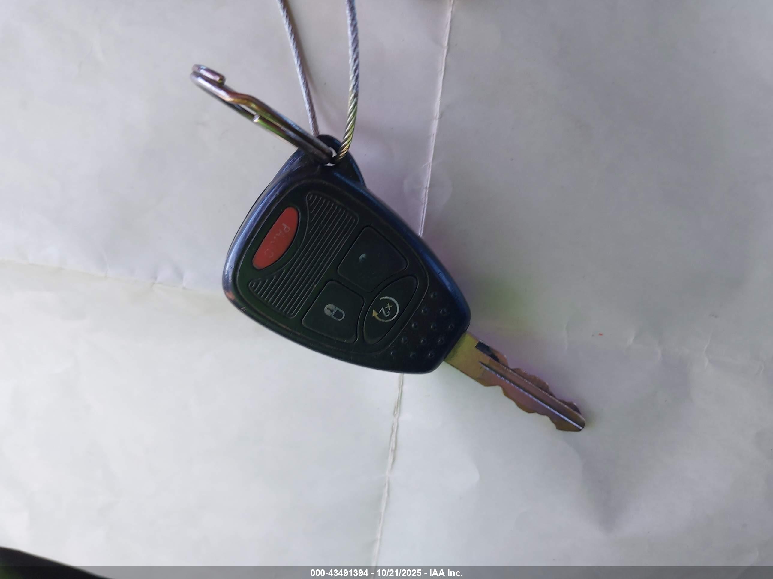 JEEP WRANGLER image 11