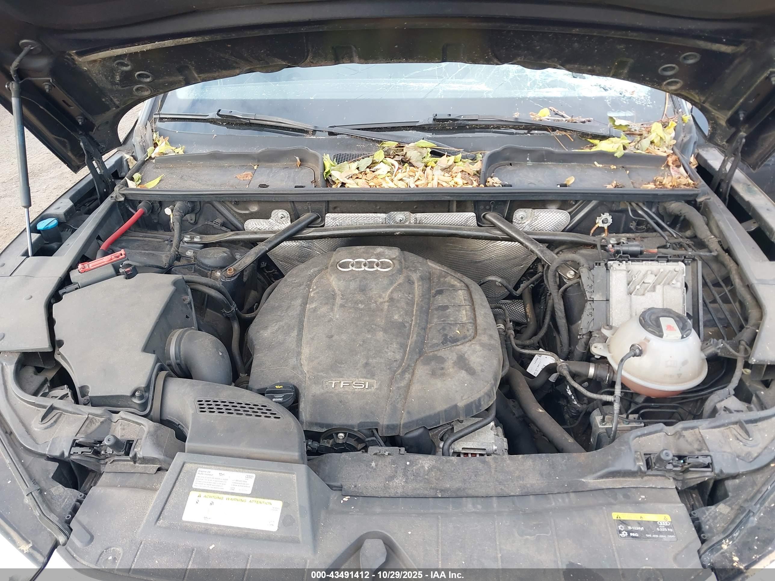 AUDI Q5 image 10