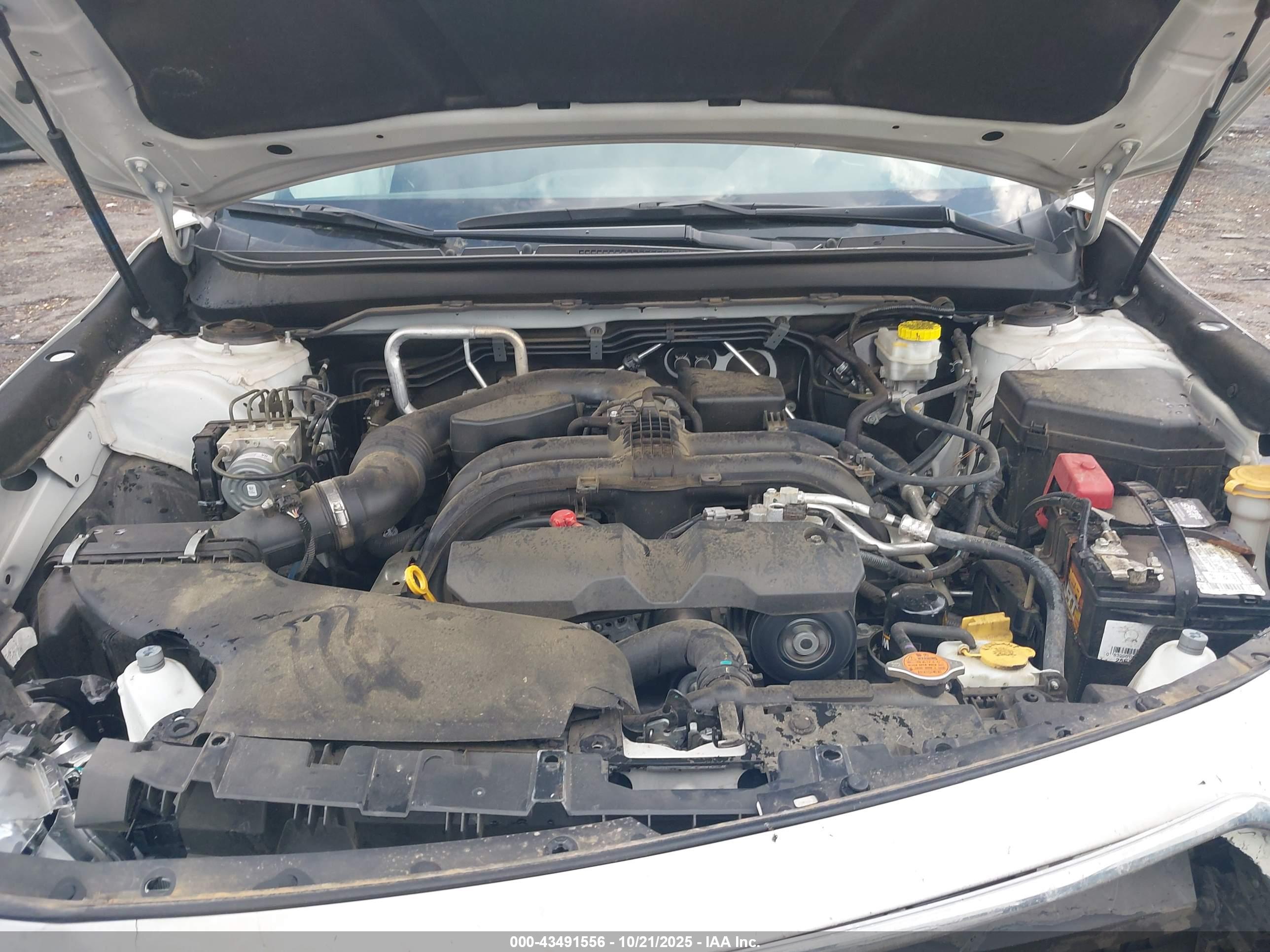 SUBARU OUTBACK image 10