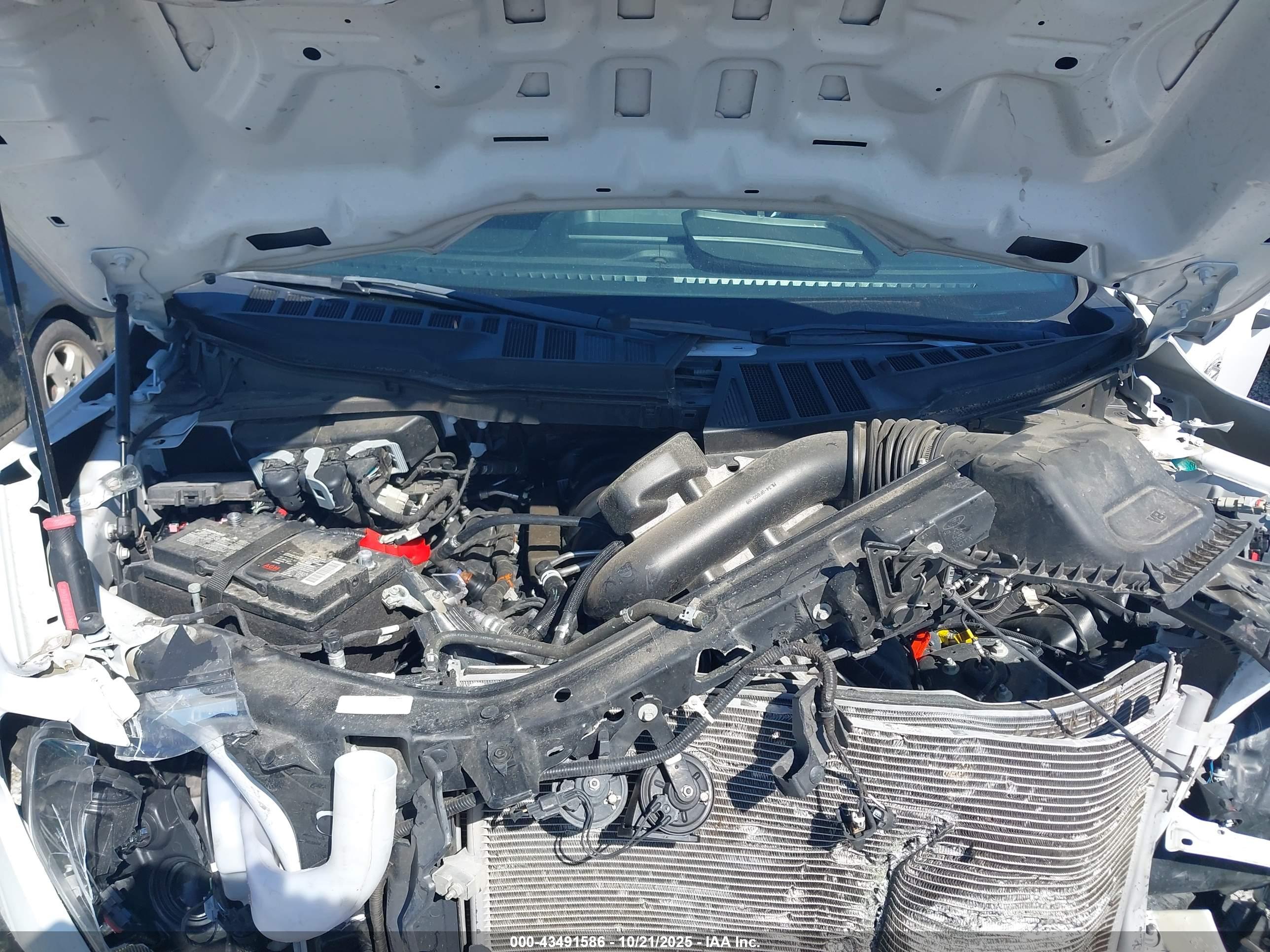 FORD F-150 image 10