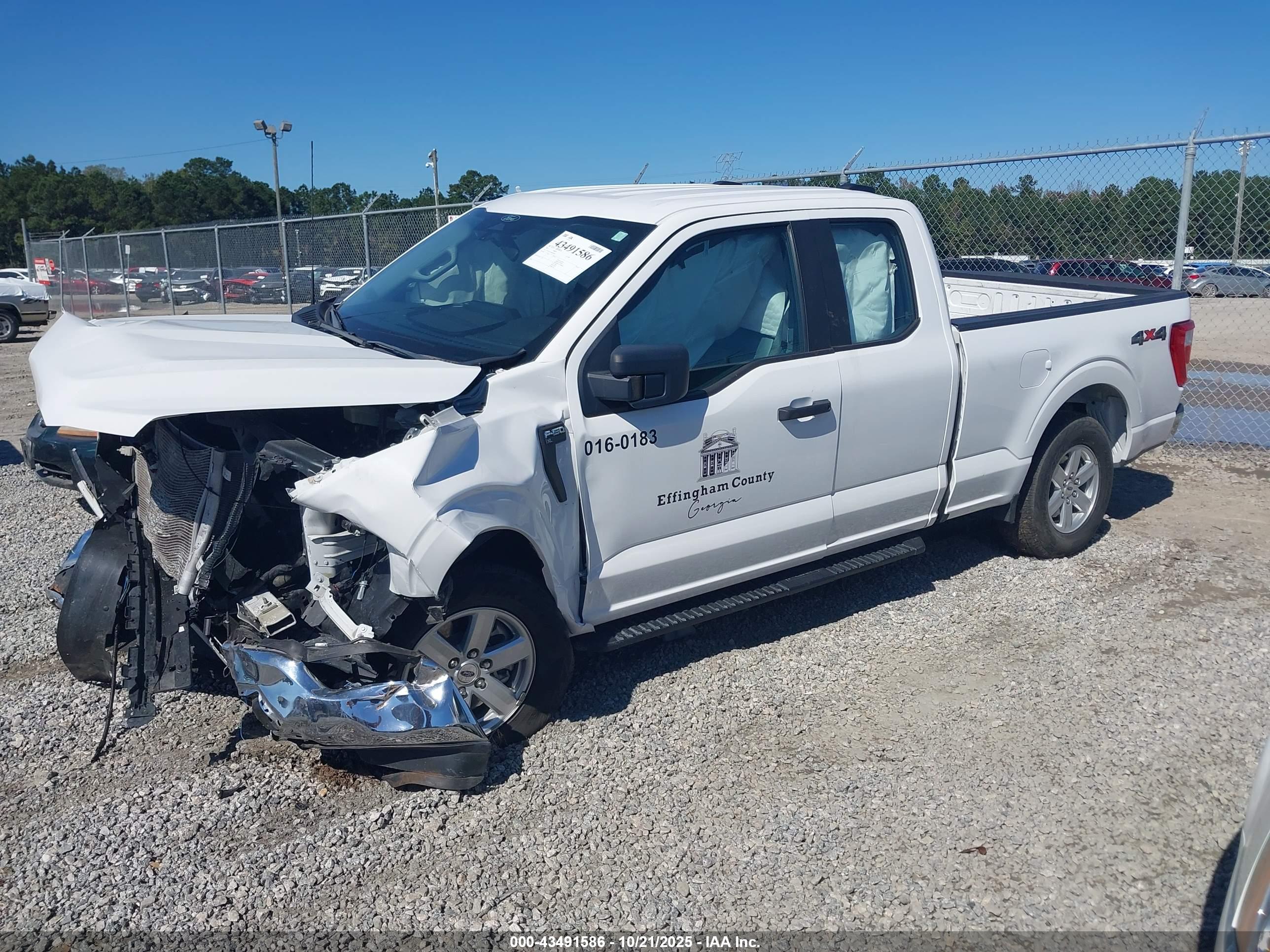 FORD F-150 image 2