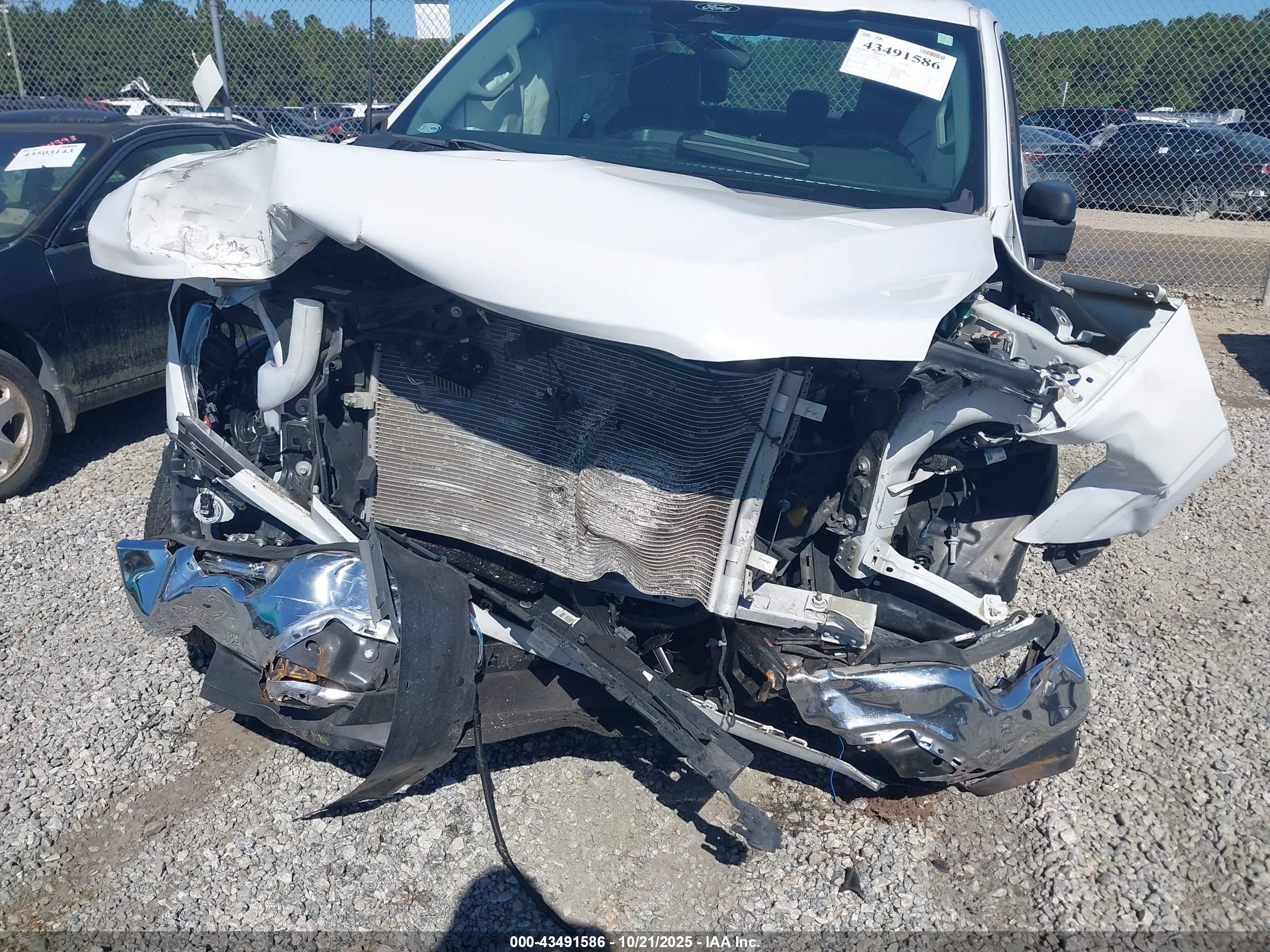 FORD F-150 image 6