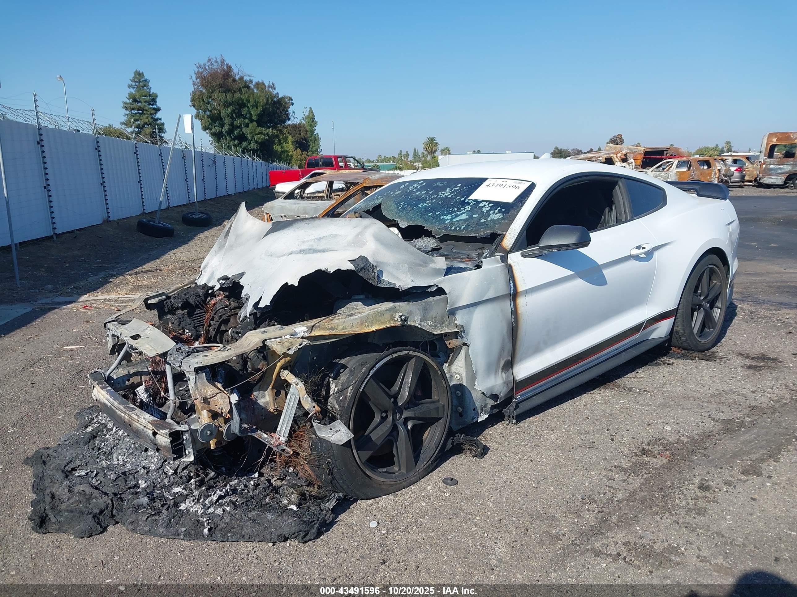 FORD MUSTANG image 2