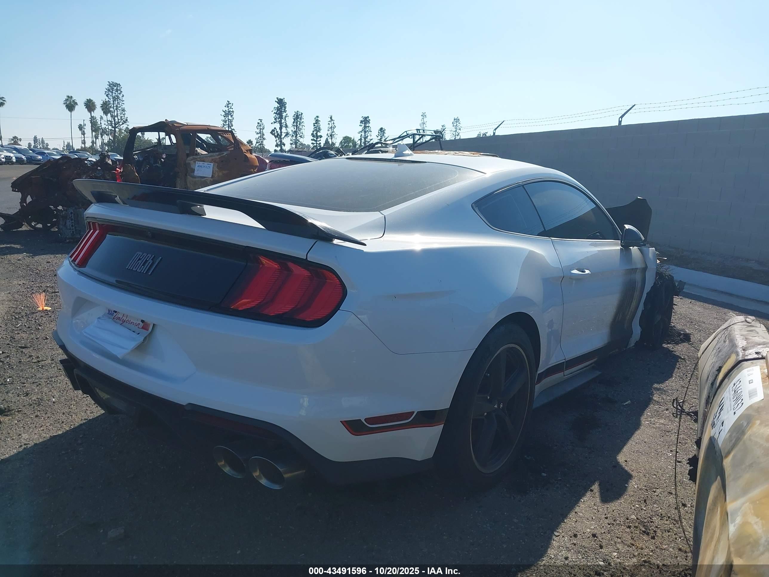 FORD MUSTANG image 4
