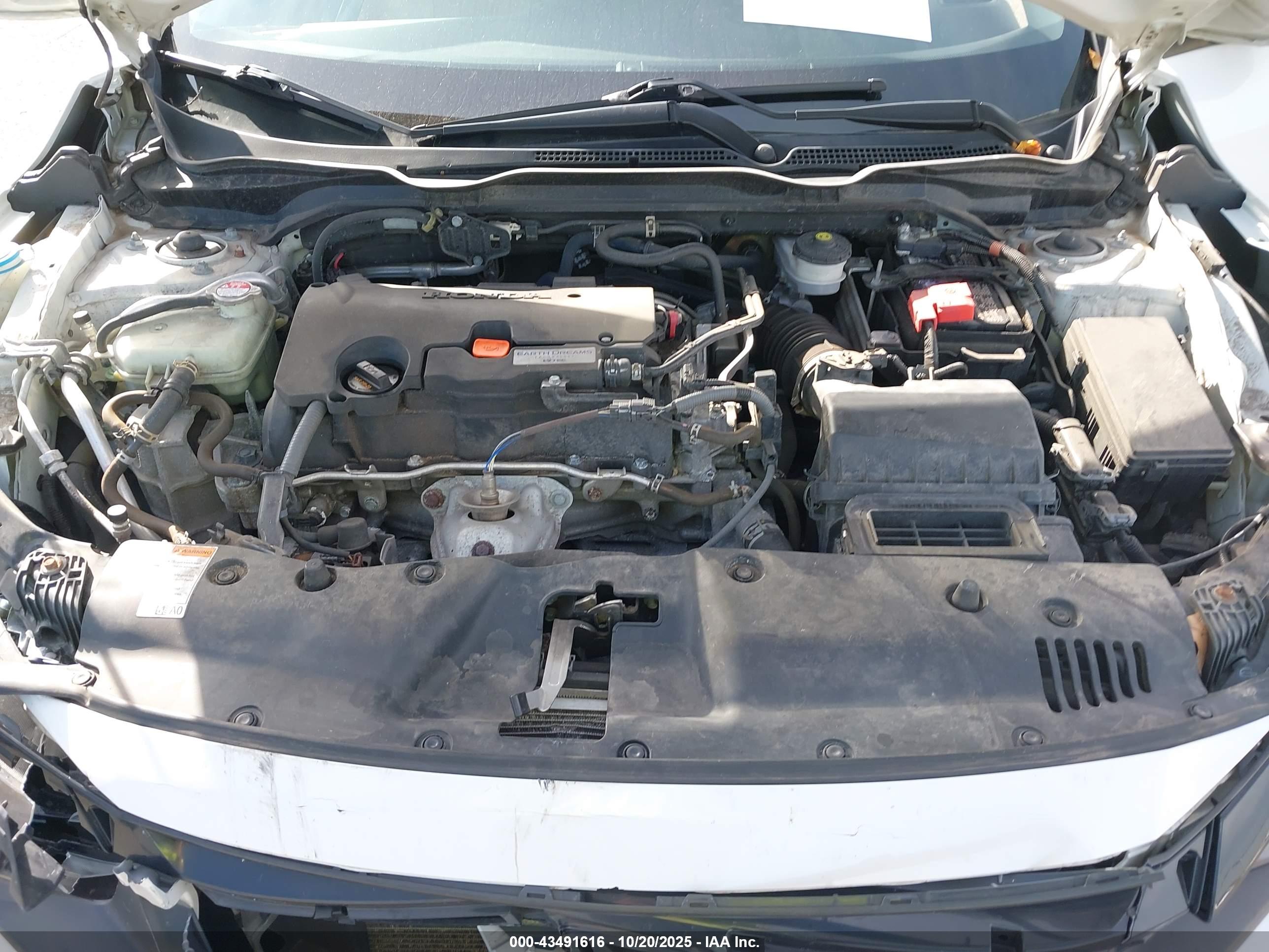 HONDA CIVIC image 10