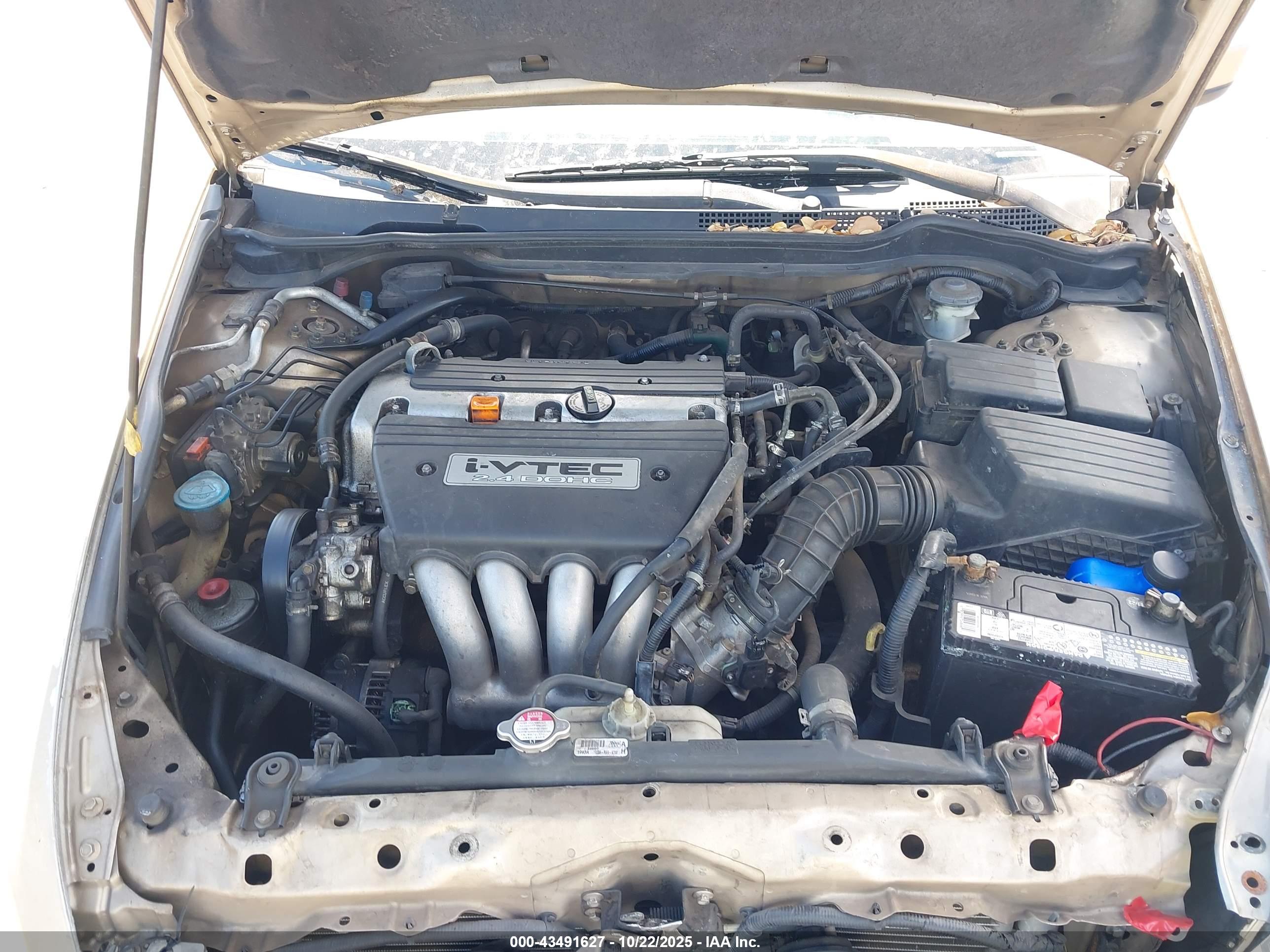 HONDA ACCORD image 10