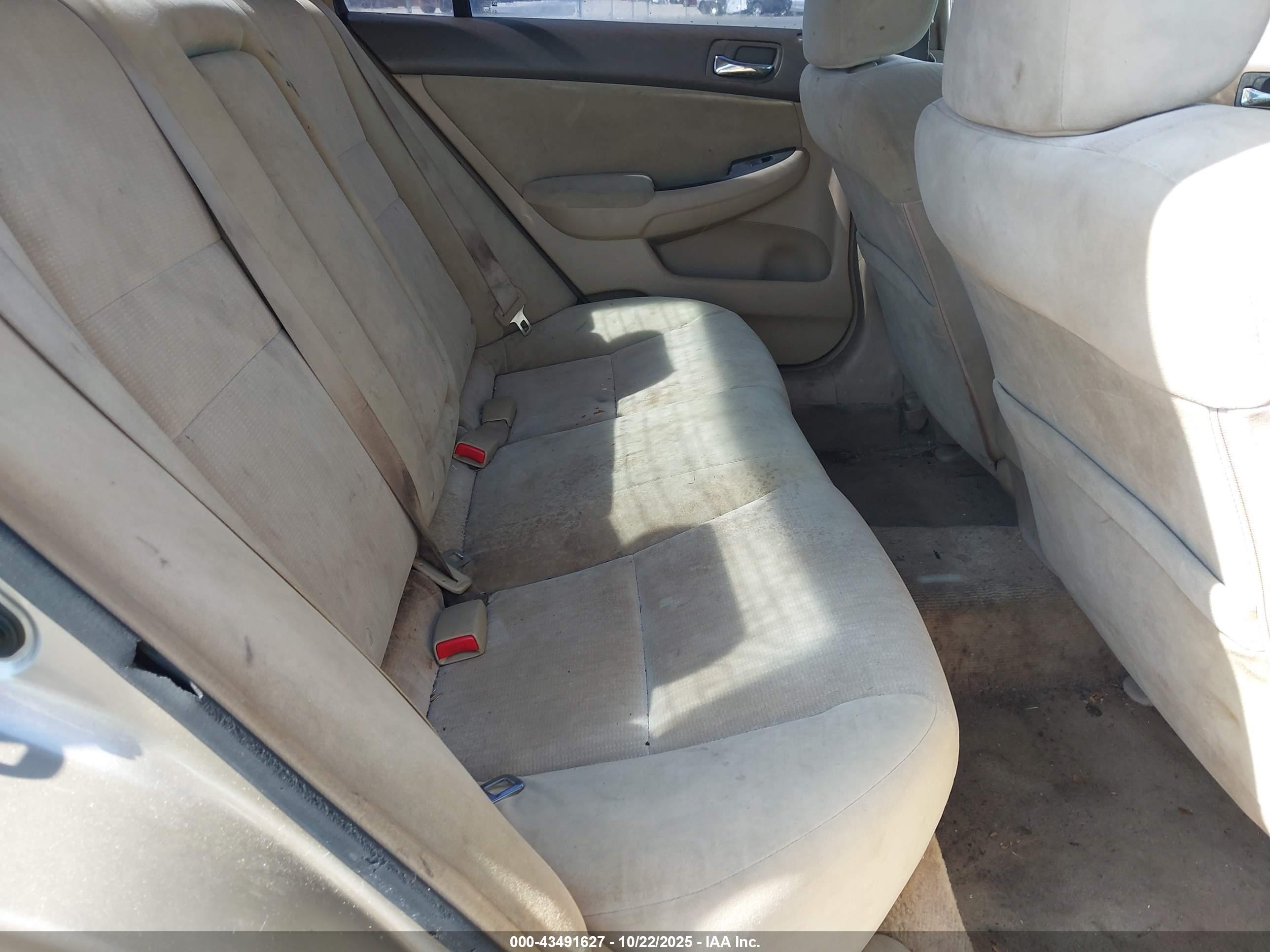 HONDA ACCORD image 8