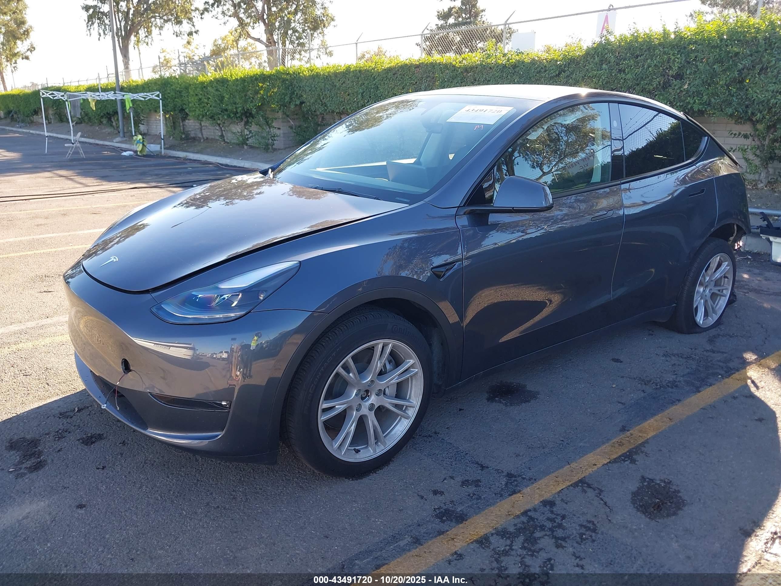 TESLA MODEL image 2