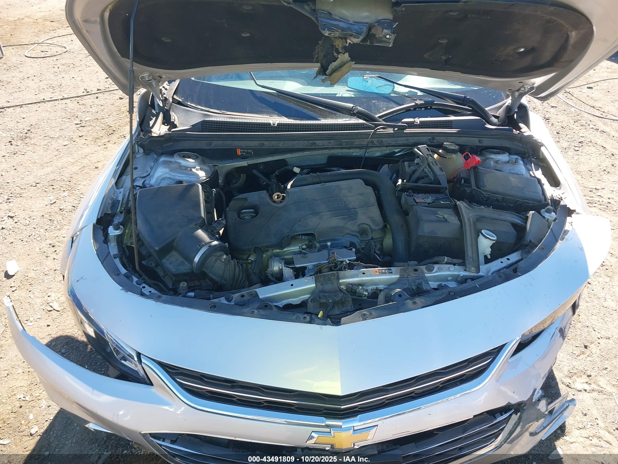 CHEVROLET MALIBU image 10