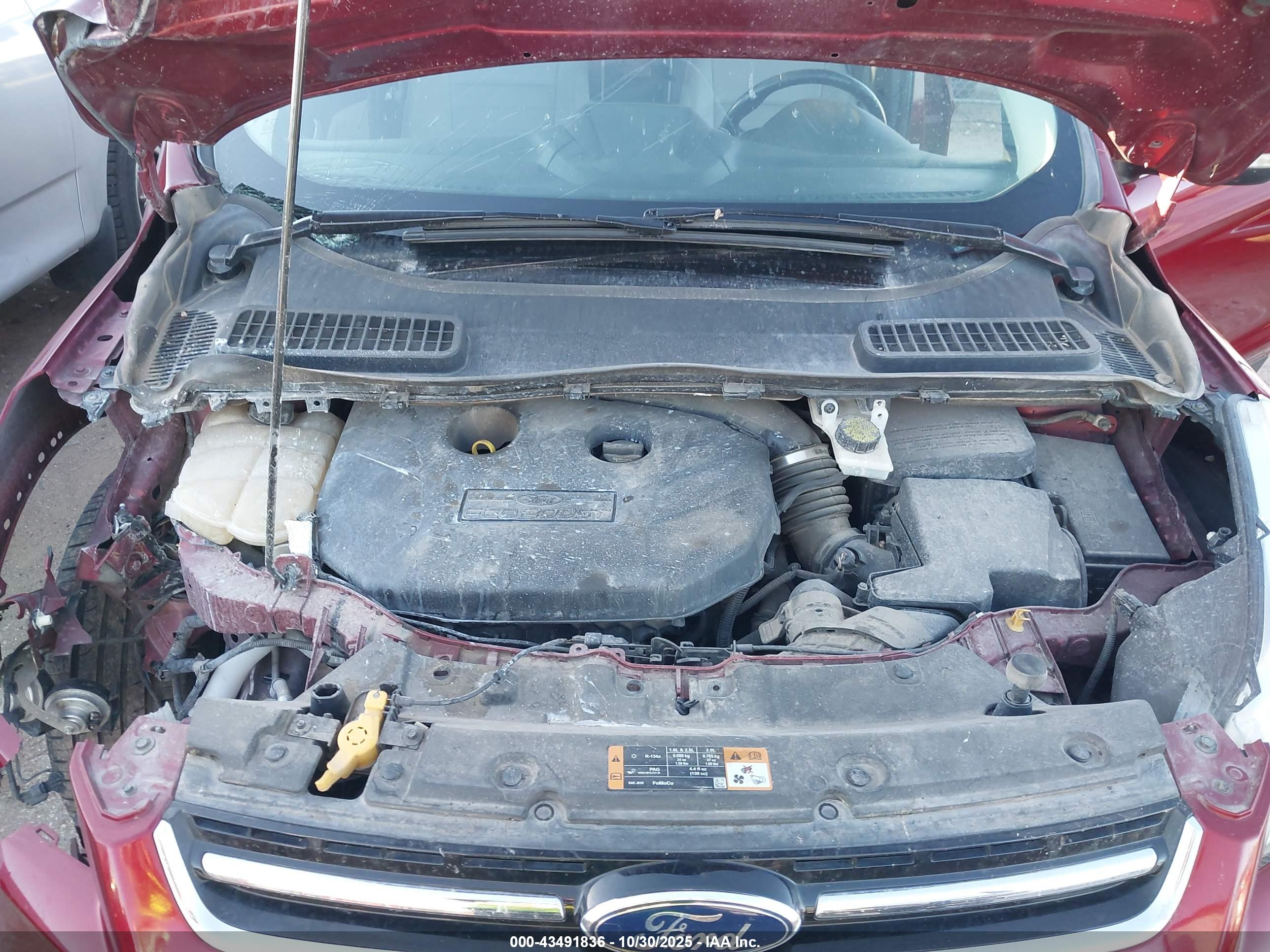 FORD ESCAPE image 10