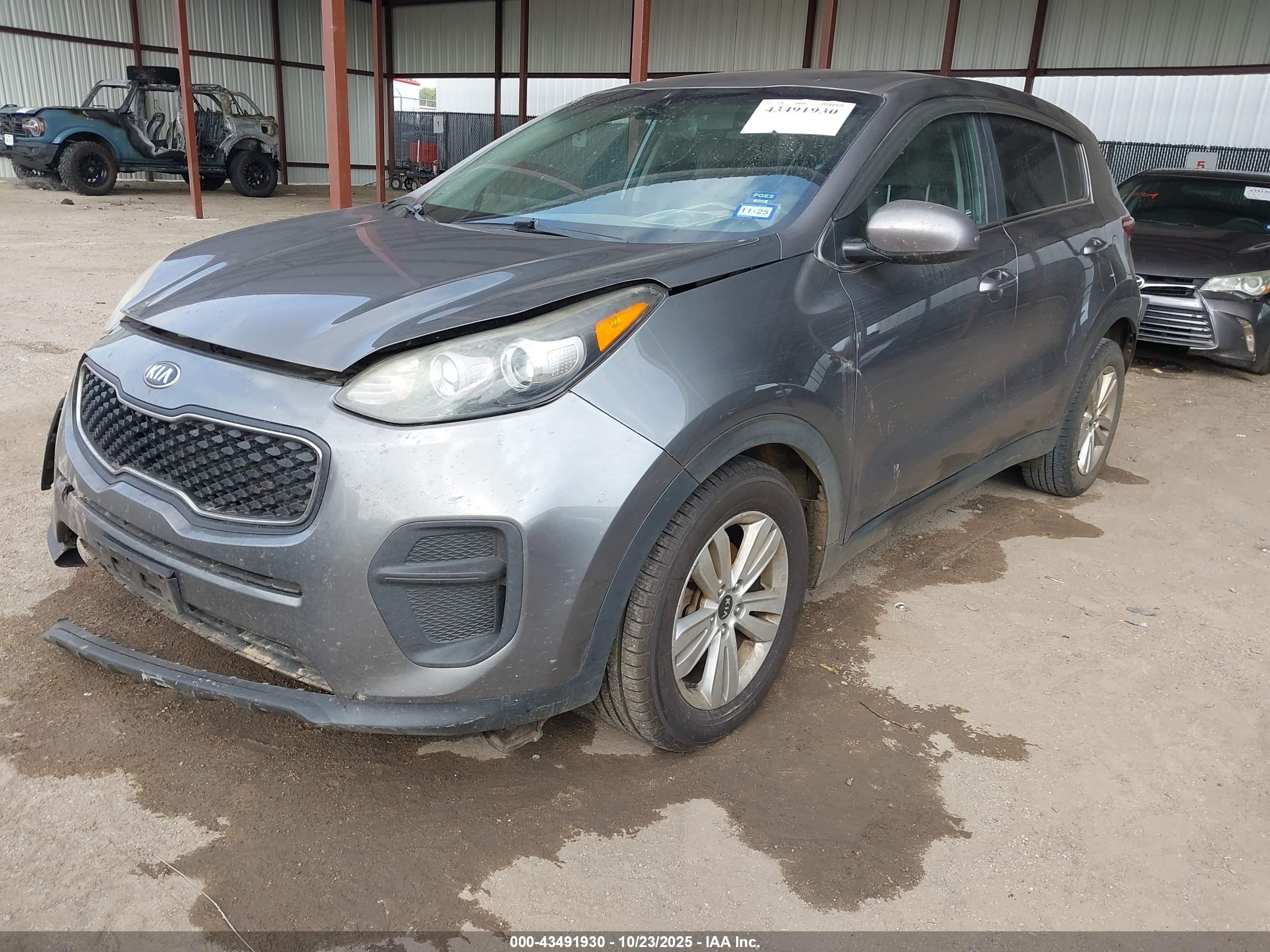 KIA SPORTAGE image 2