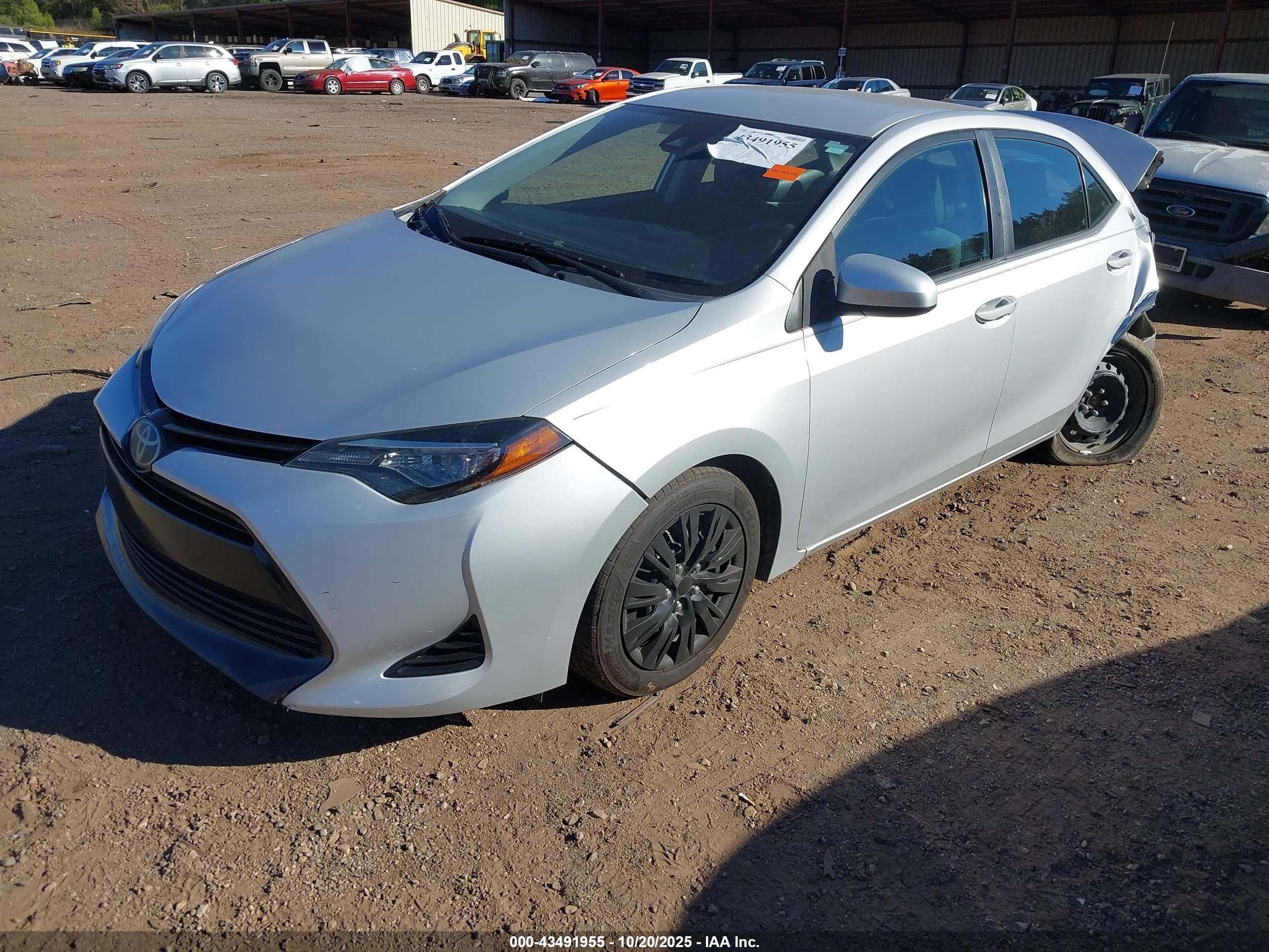 TOYOTA COROLLA image 2