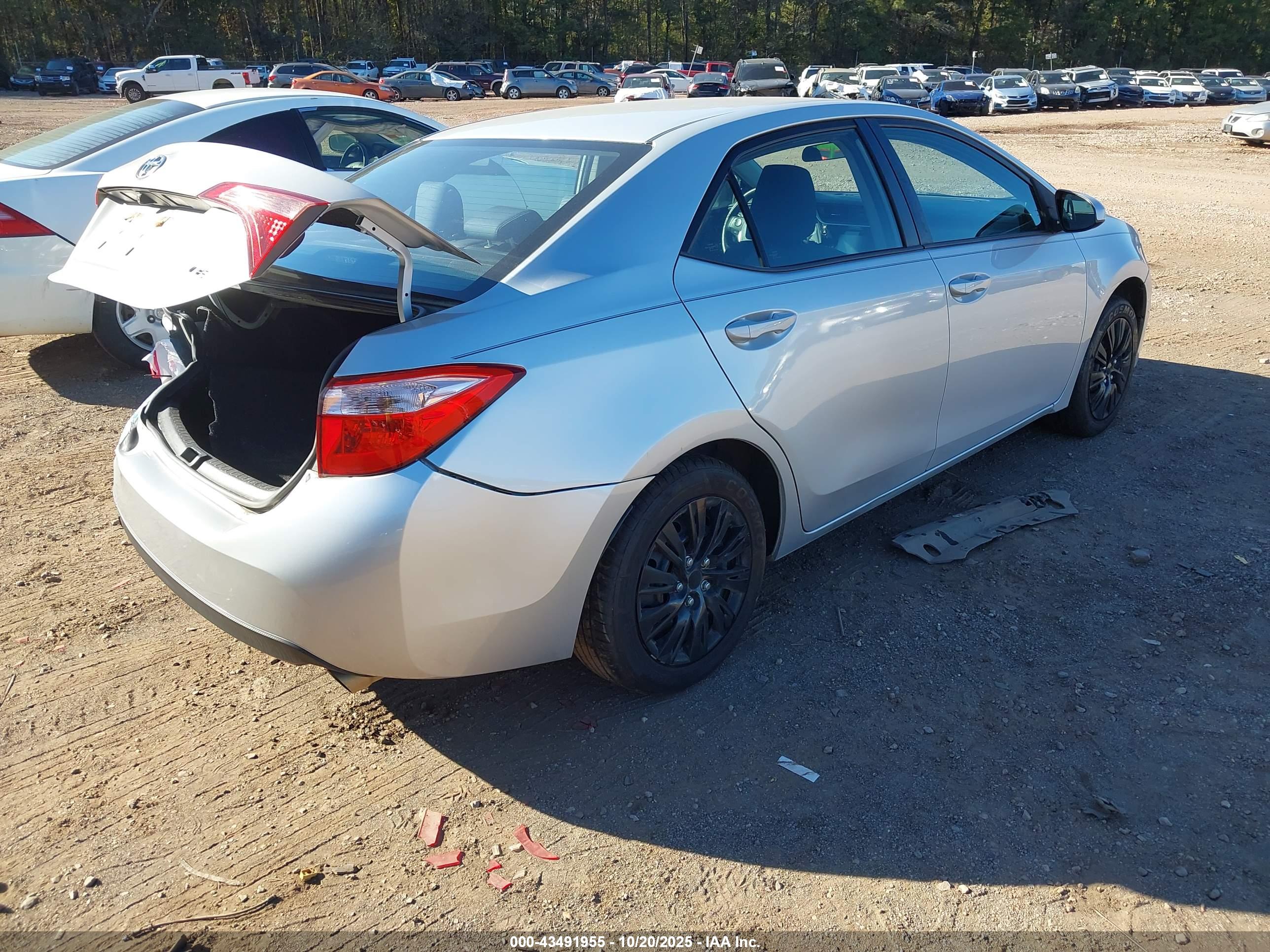 TOYOTA COROLLA image 4