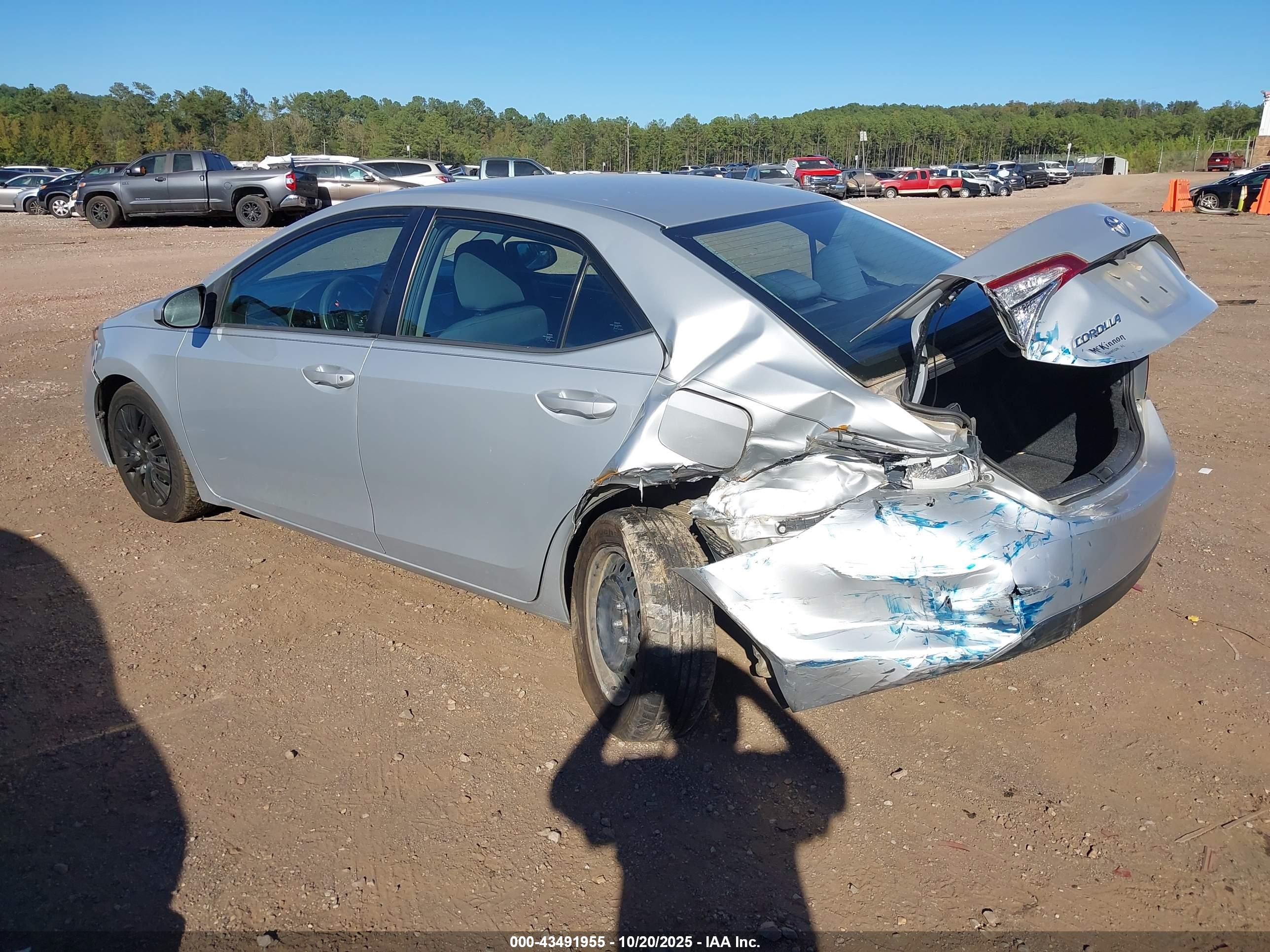 TOYOTA COROLLA image 6