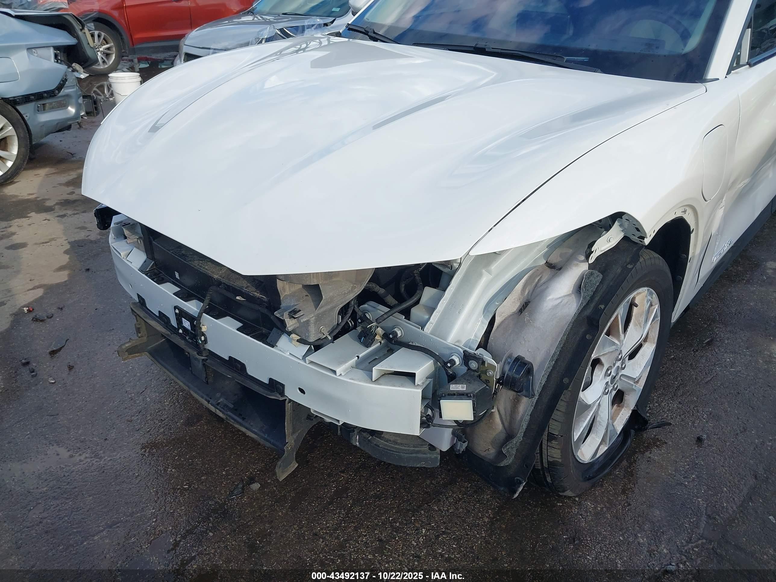 FORD MUSTANG image 6