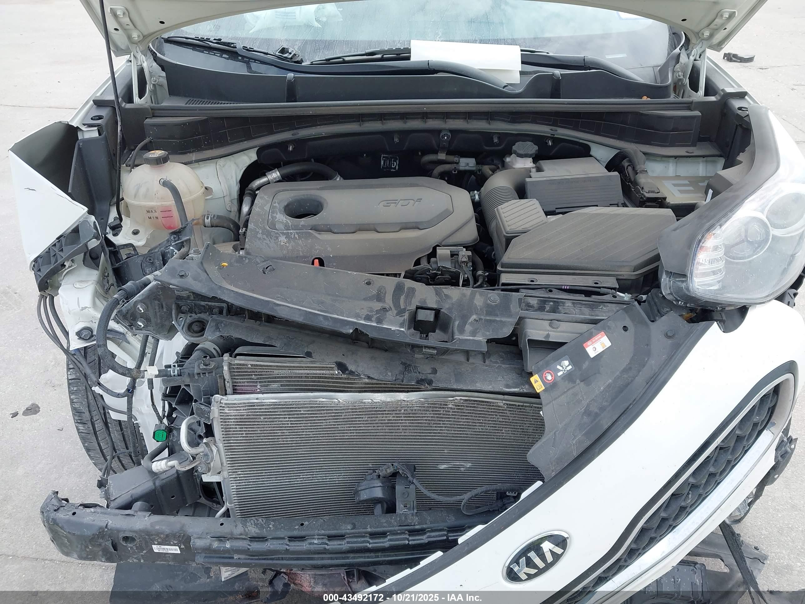 KIA SPORTAGE image 10