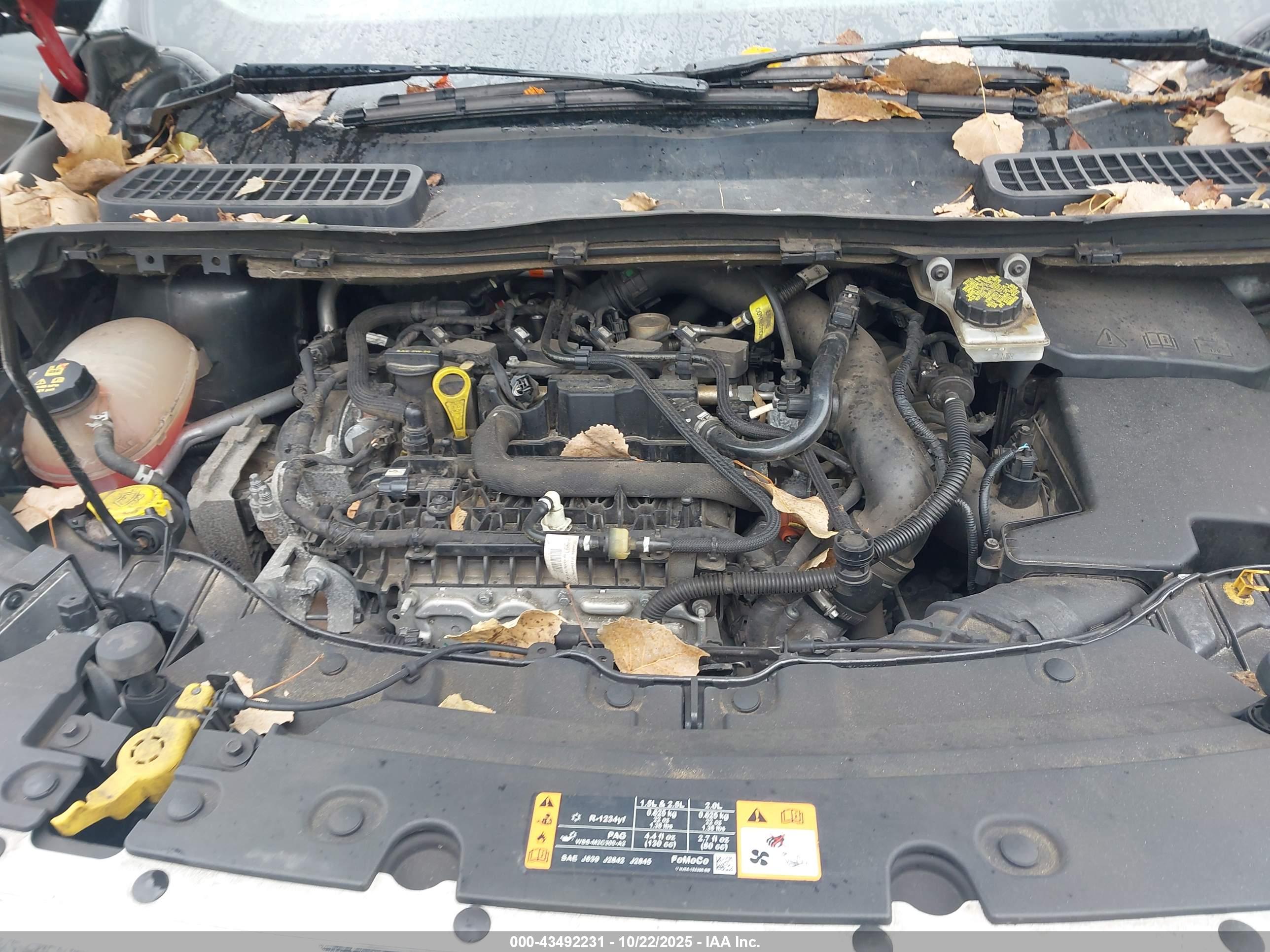 FORD ESCAPE image 10