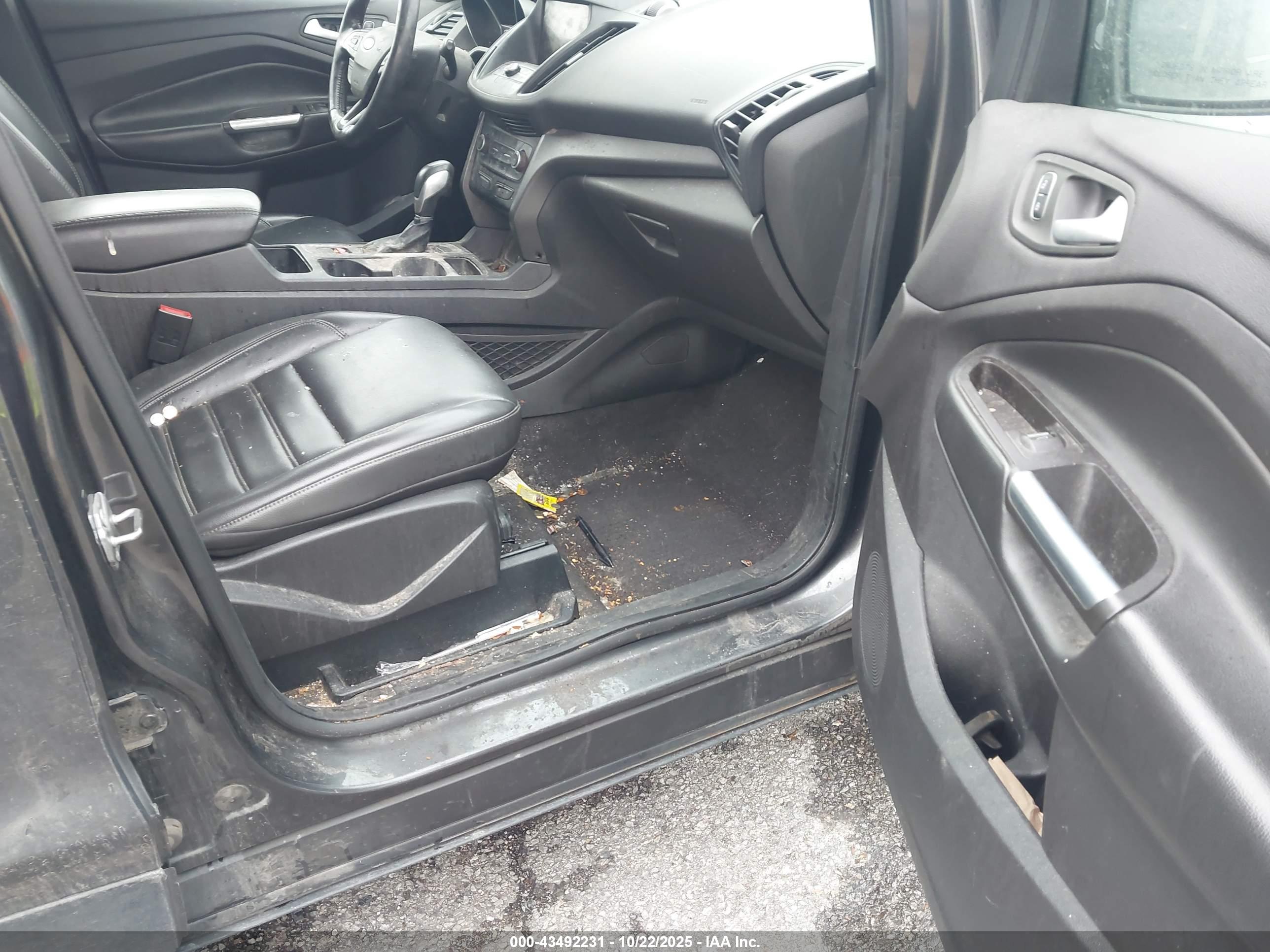 FORD ESCAPE image 5