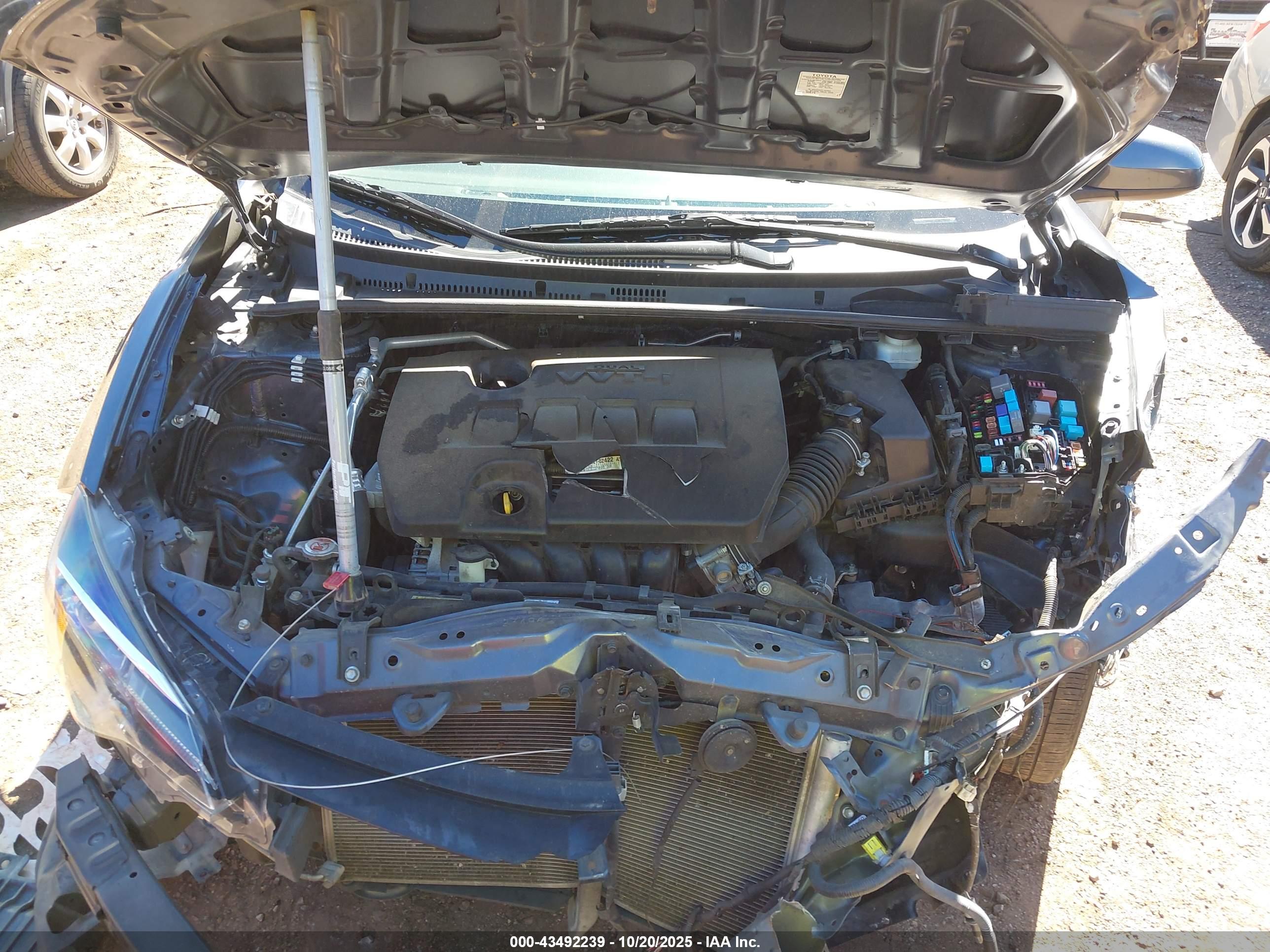 TOYOTA COROLLA image 10
