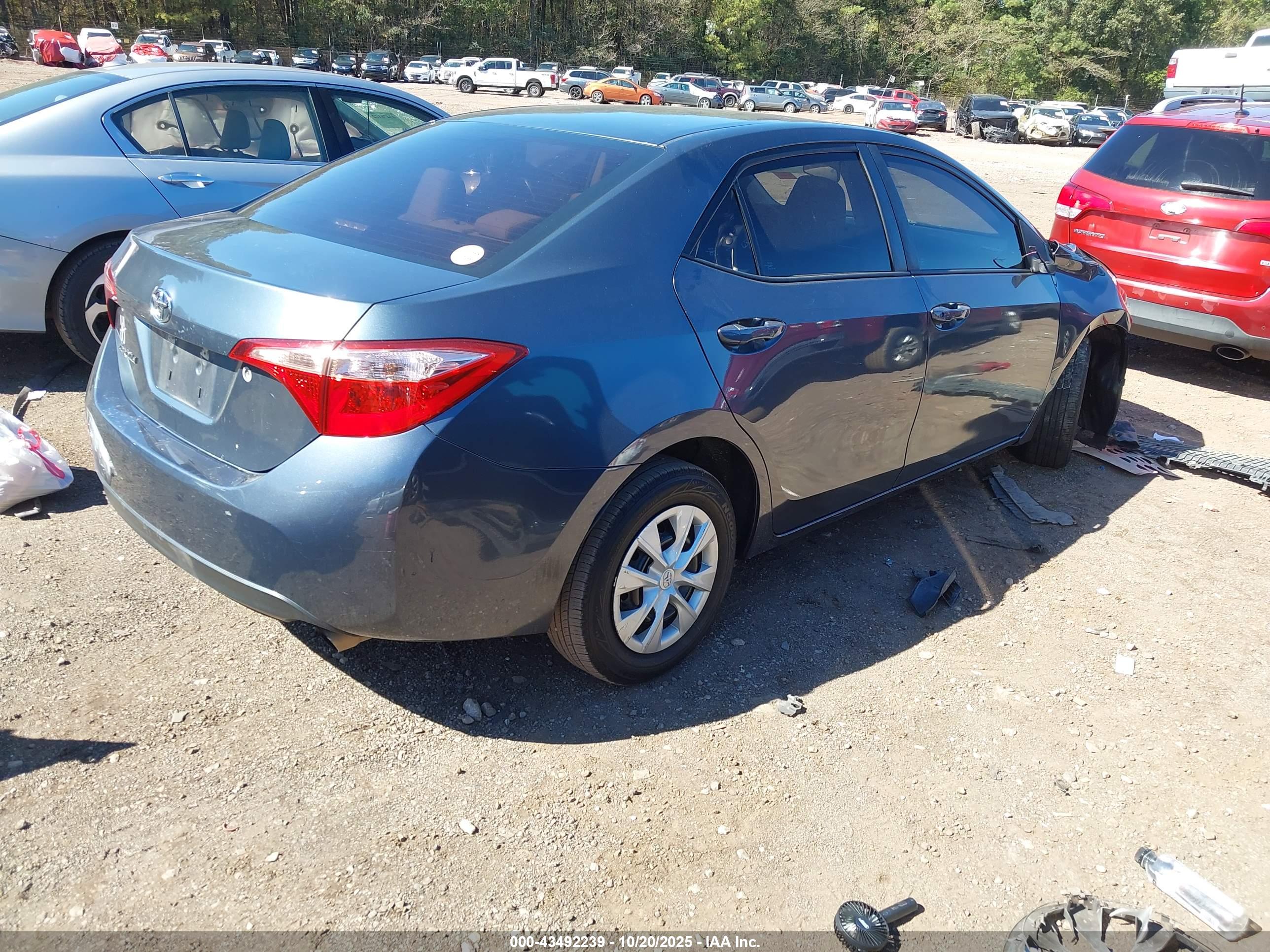 TOYOTA COROLLA image 4