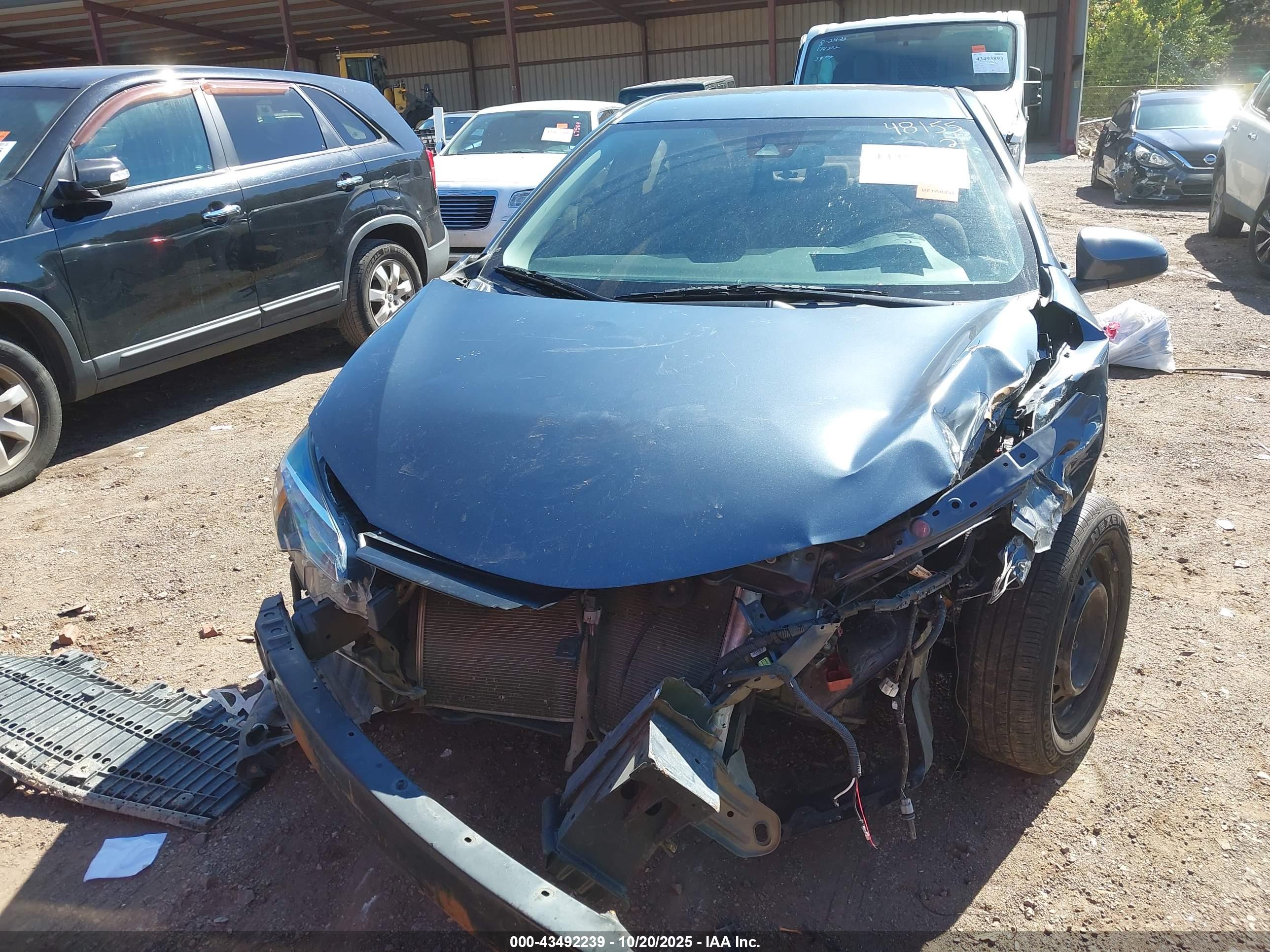 TOYOTA COROLLA image 6