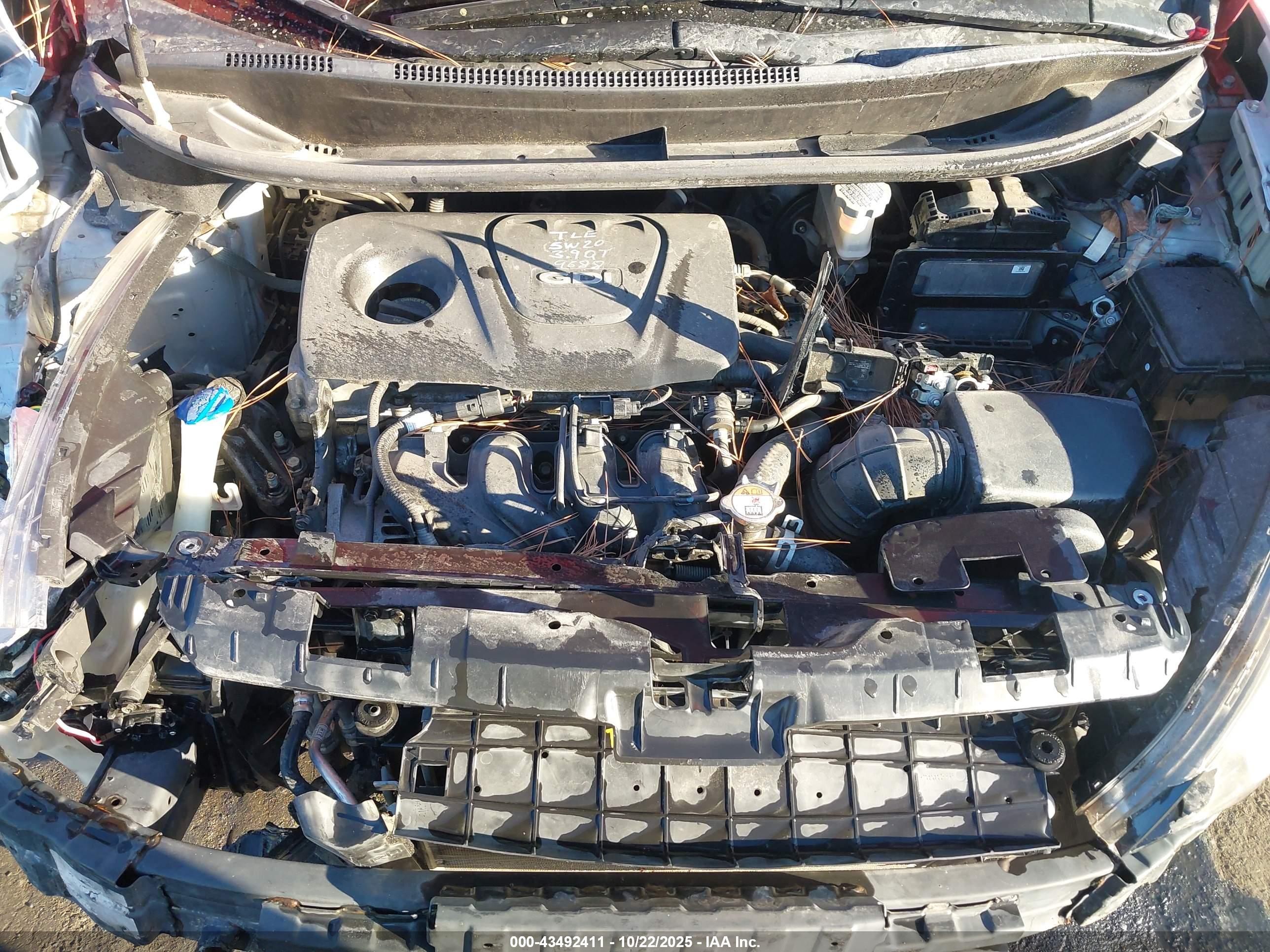 KIA RIO image 10