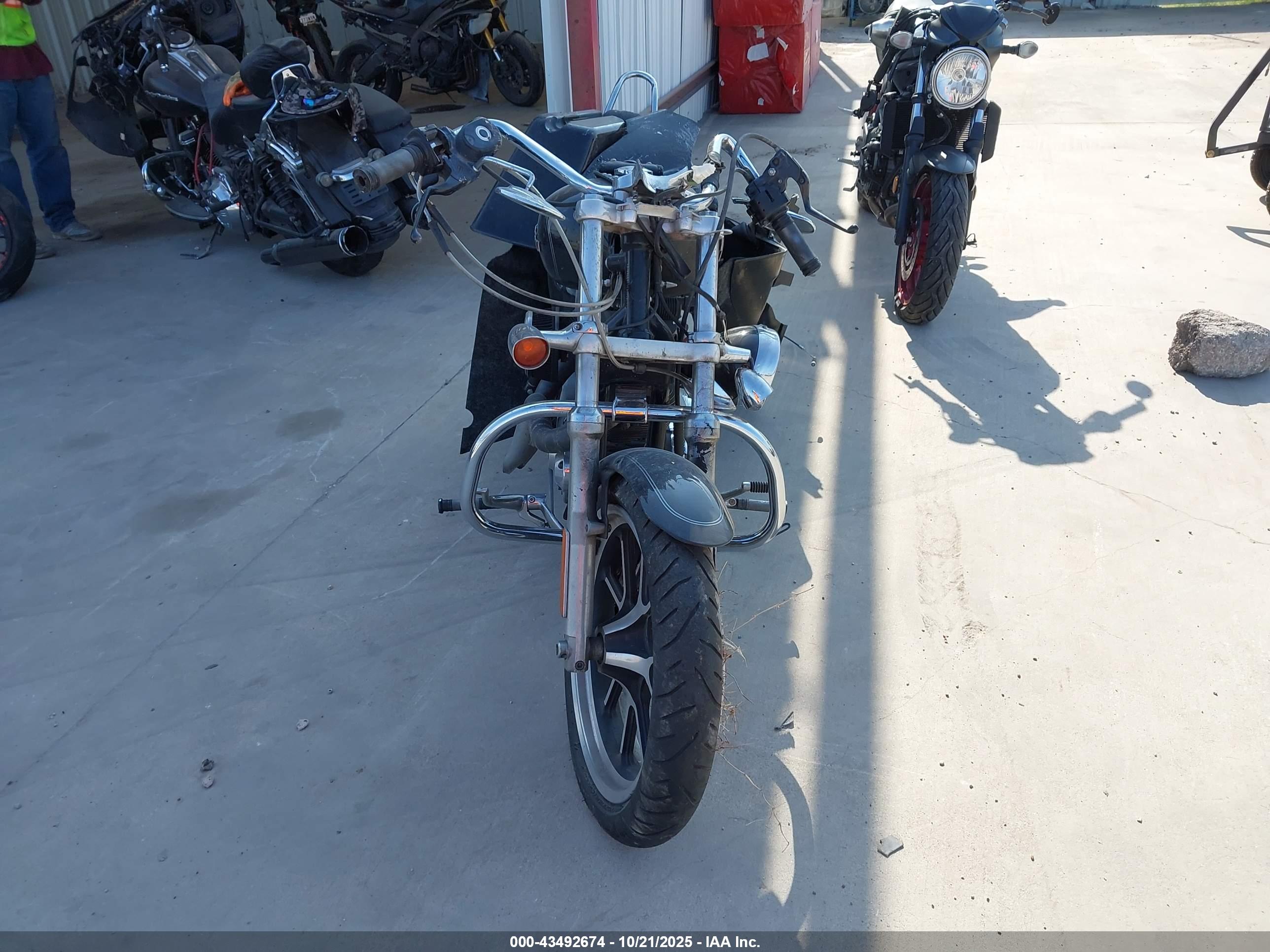 HARLEY-DAVIDSON XL1200 image 5