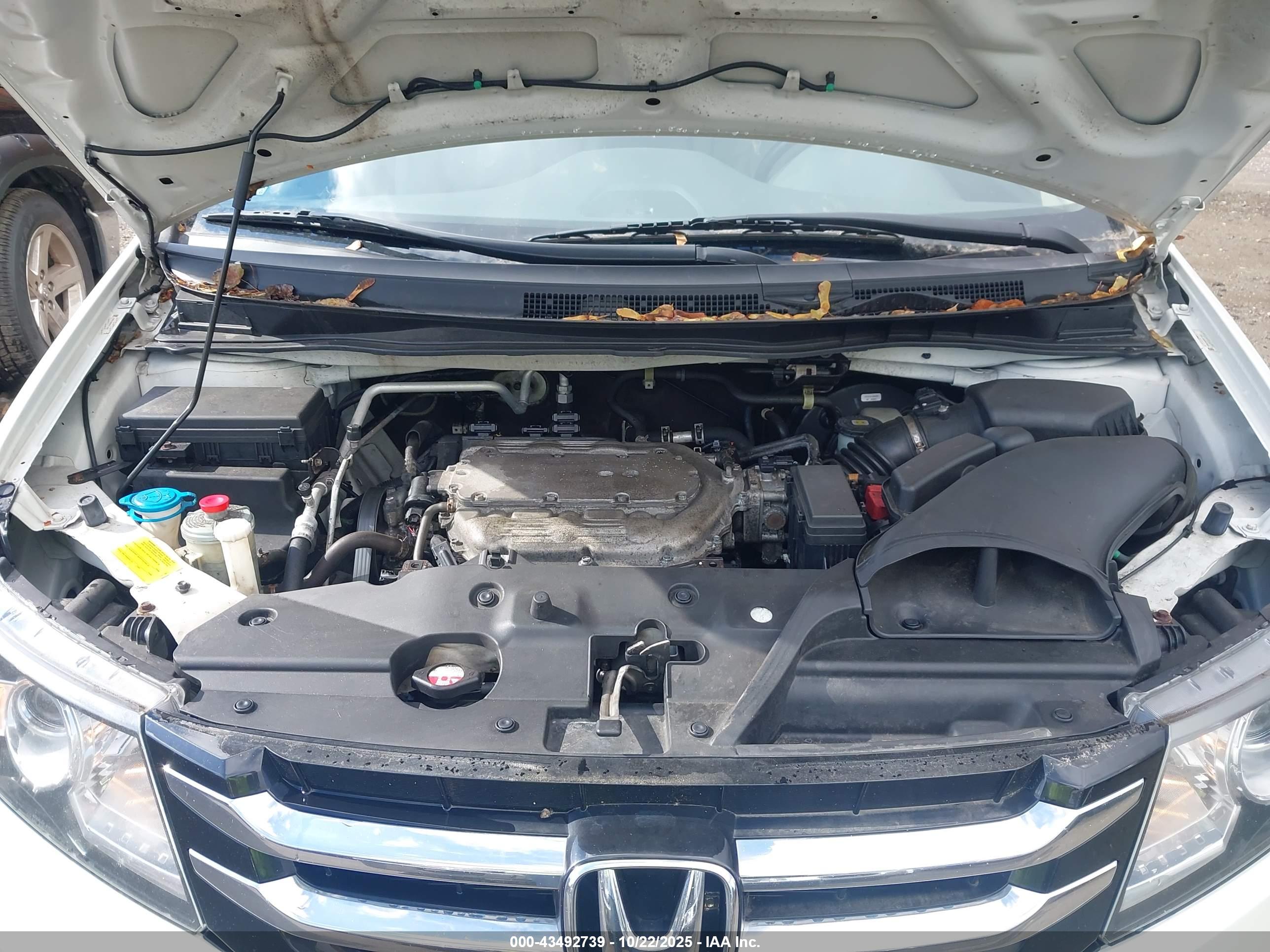 HONDA ODYSSEY image 10