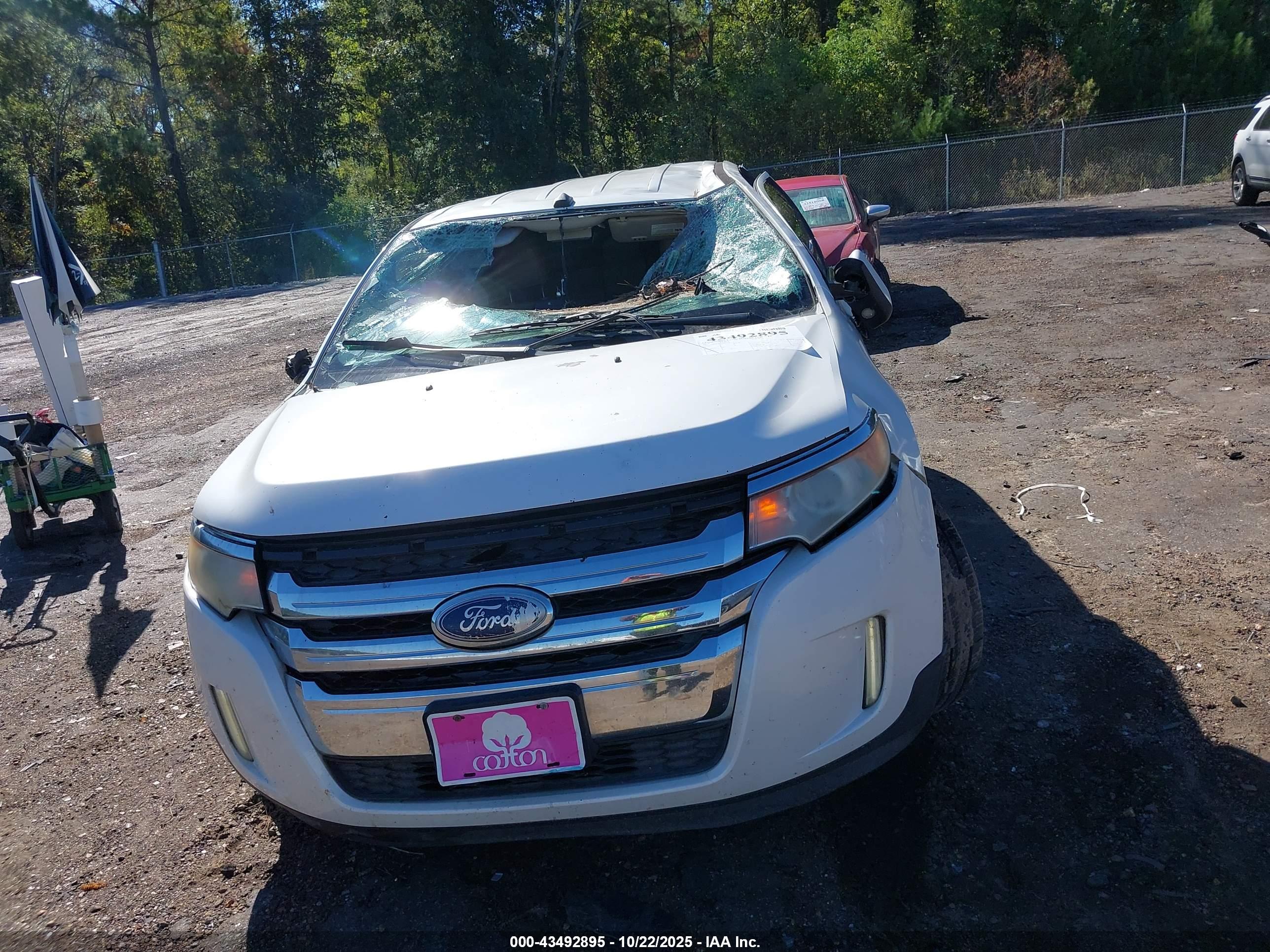 FORD EDGE image 6
