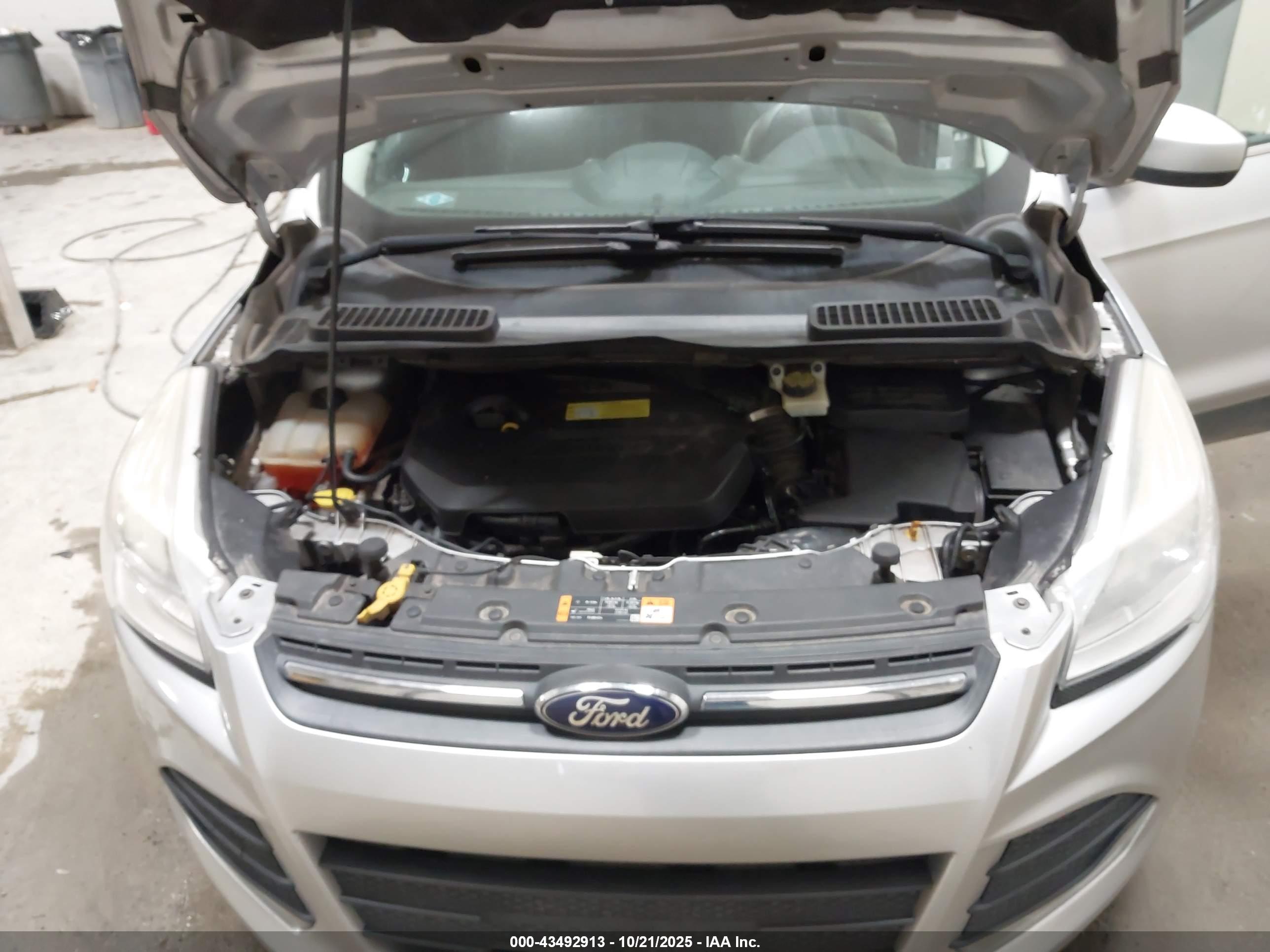 FORD ESCAPE image 10