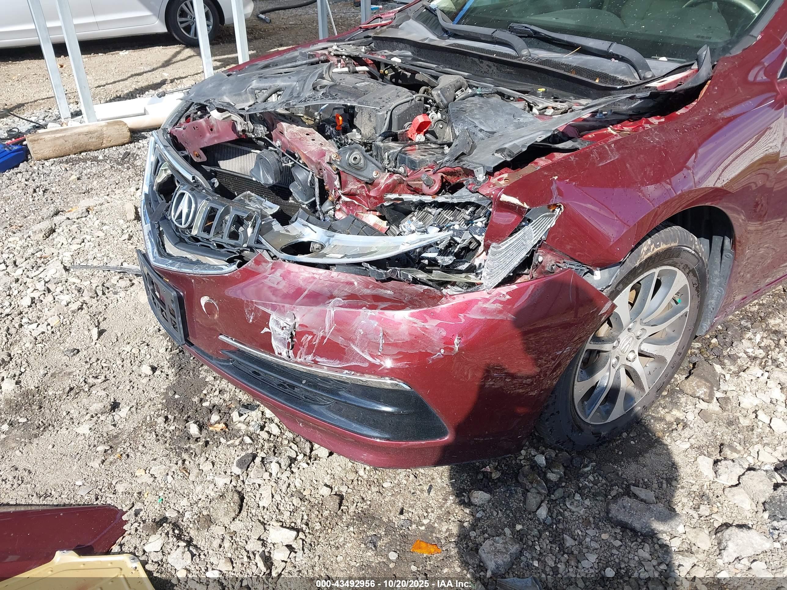 ACURA TLX image 6
