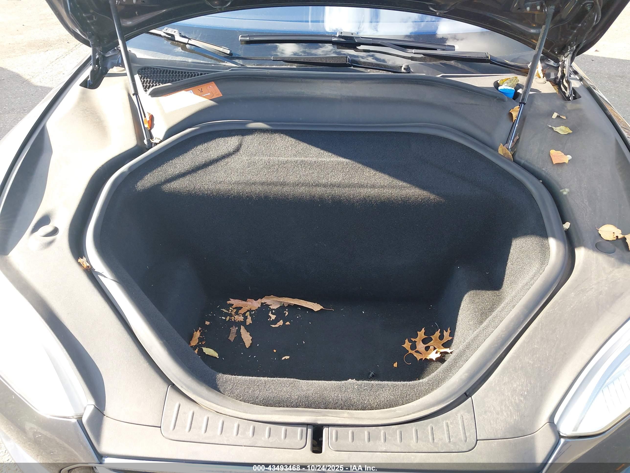 TESLA MODEL image 10