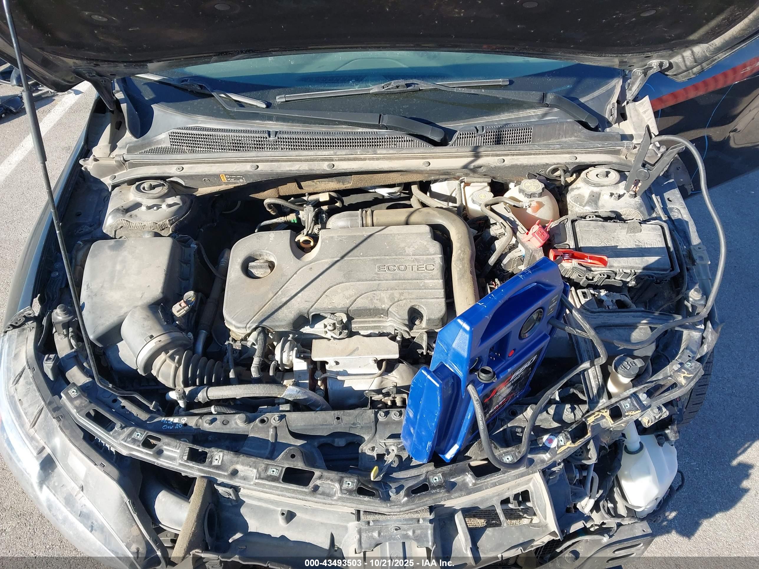 CHEVROLET MALIBU image 10