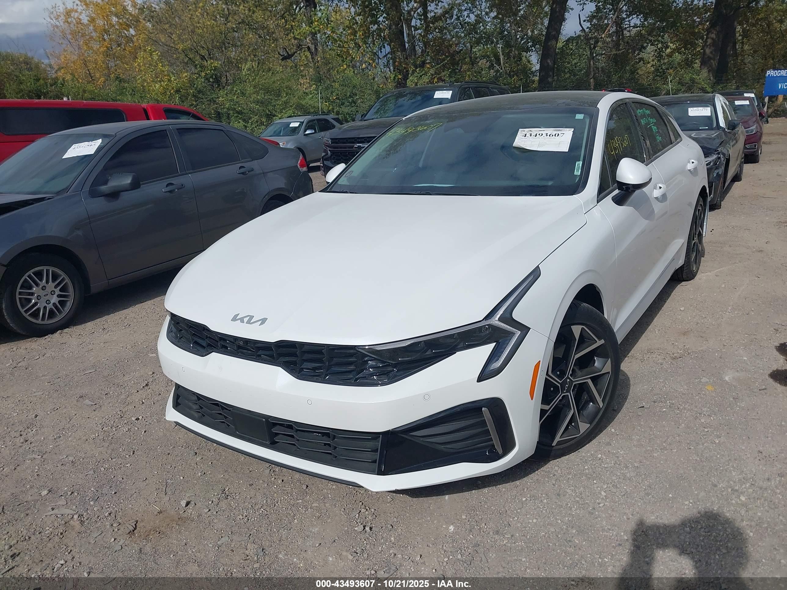 KIA K5 image 2
