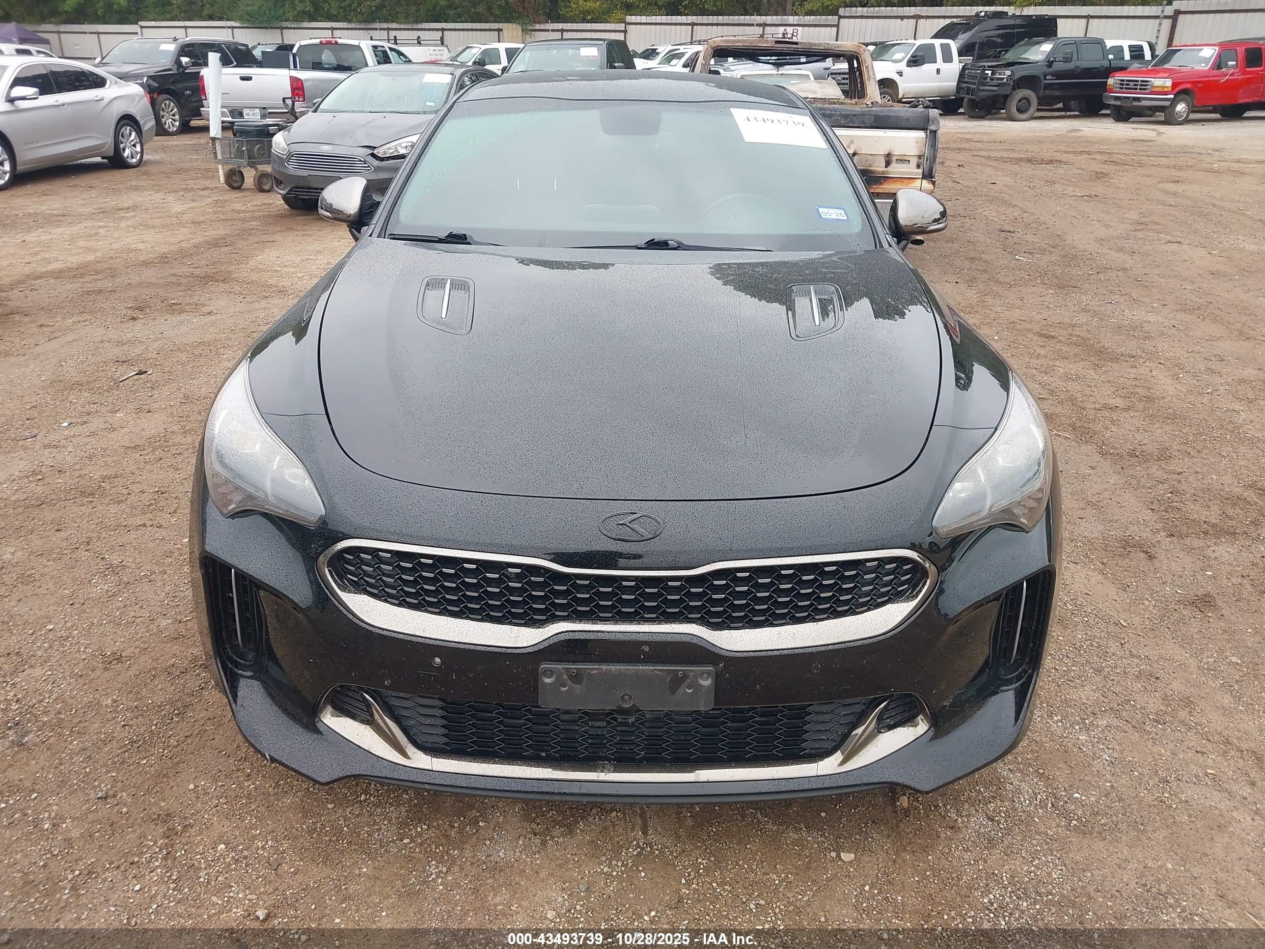 KIA STINGER image 6