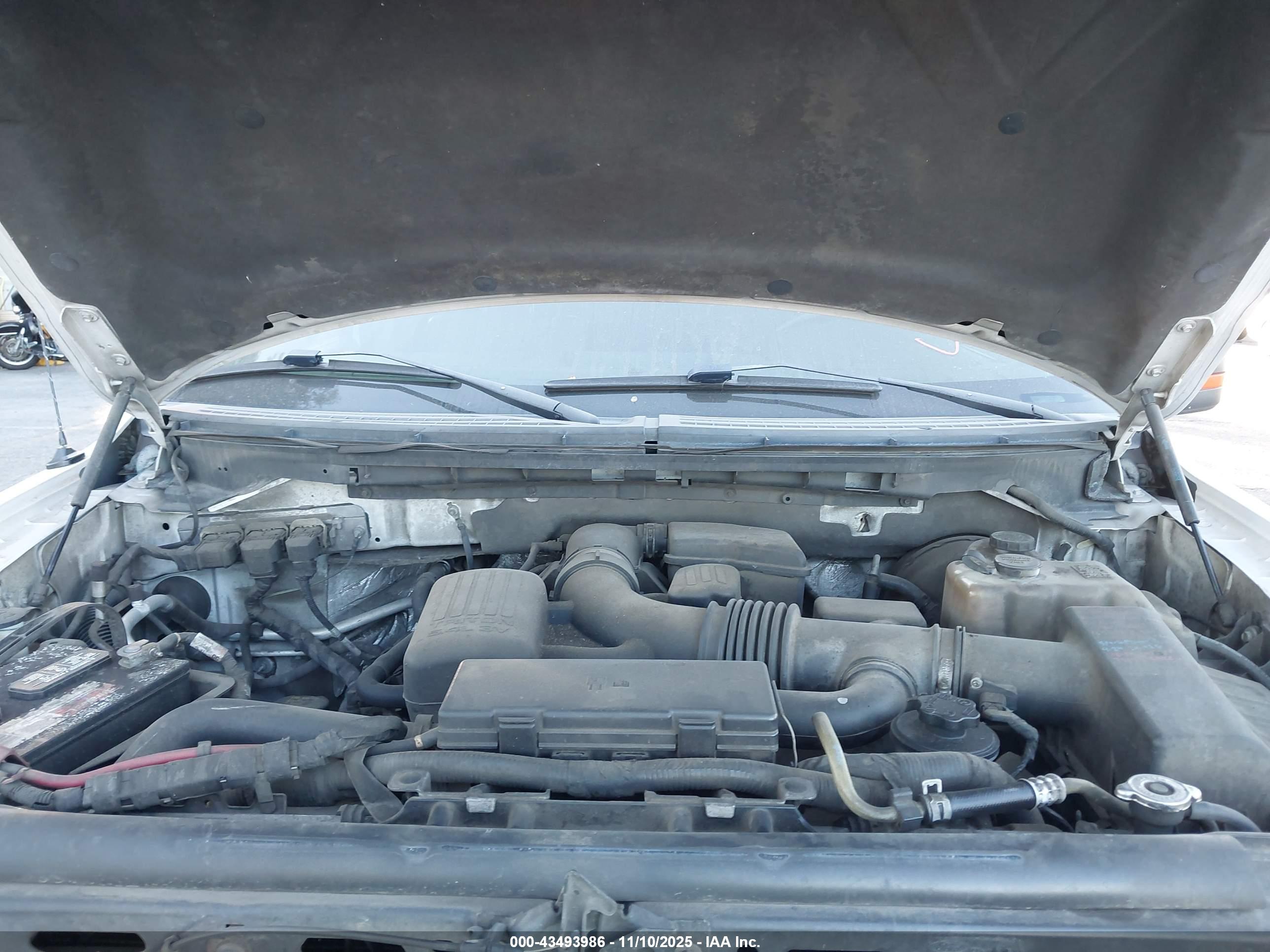 FORD F-150 image 10